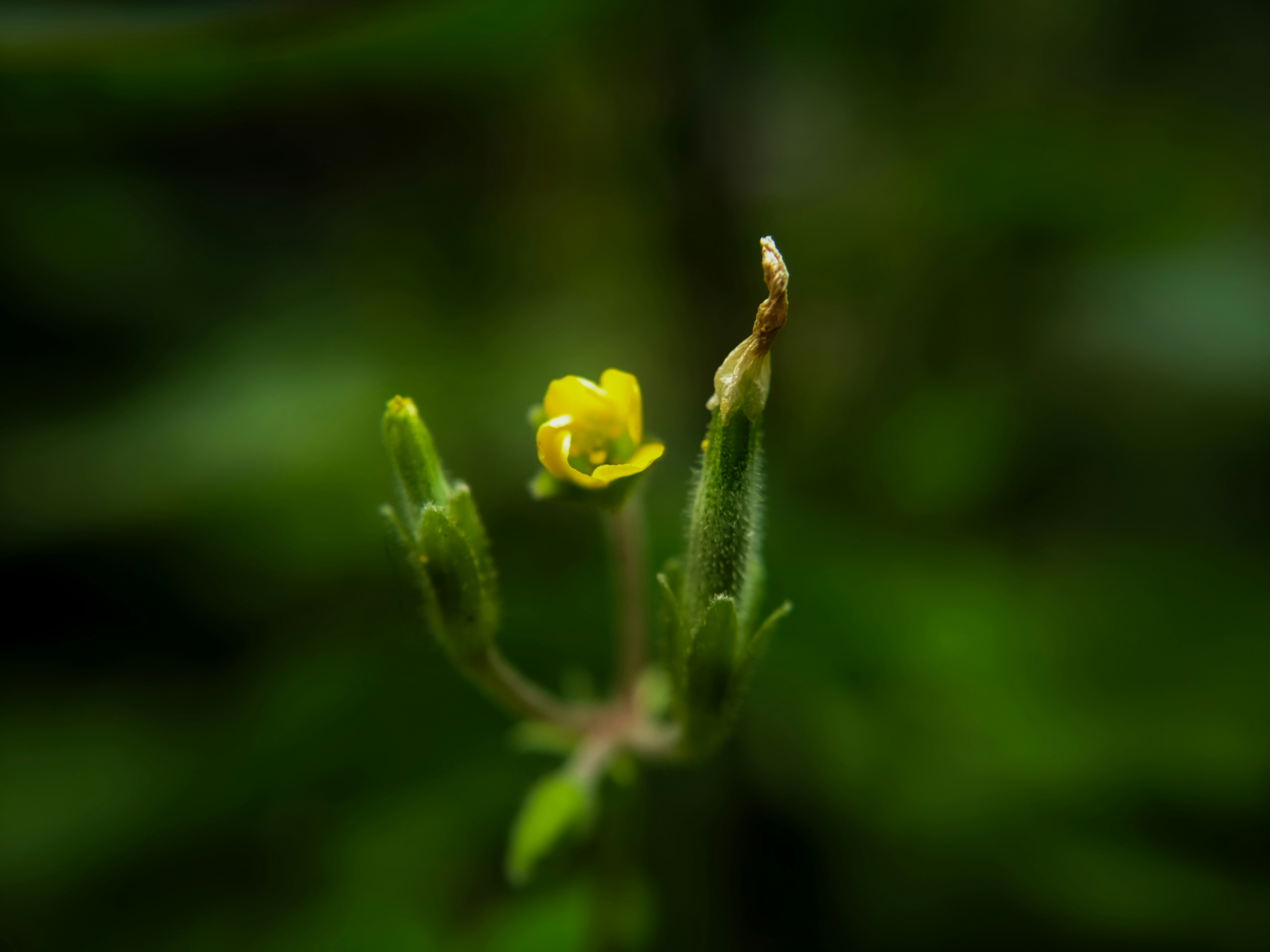 Photo by sujaypaulsp