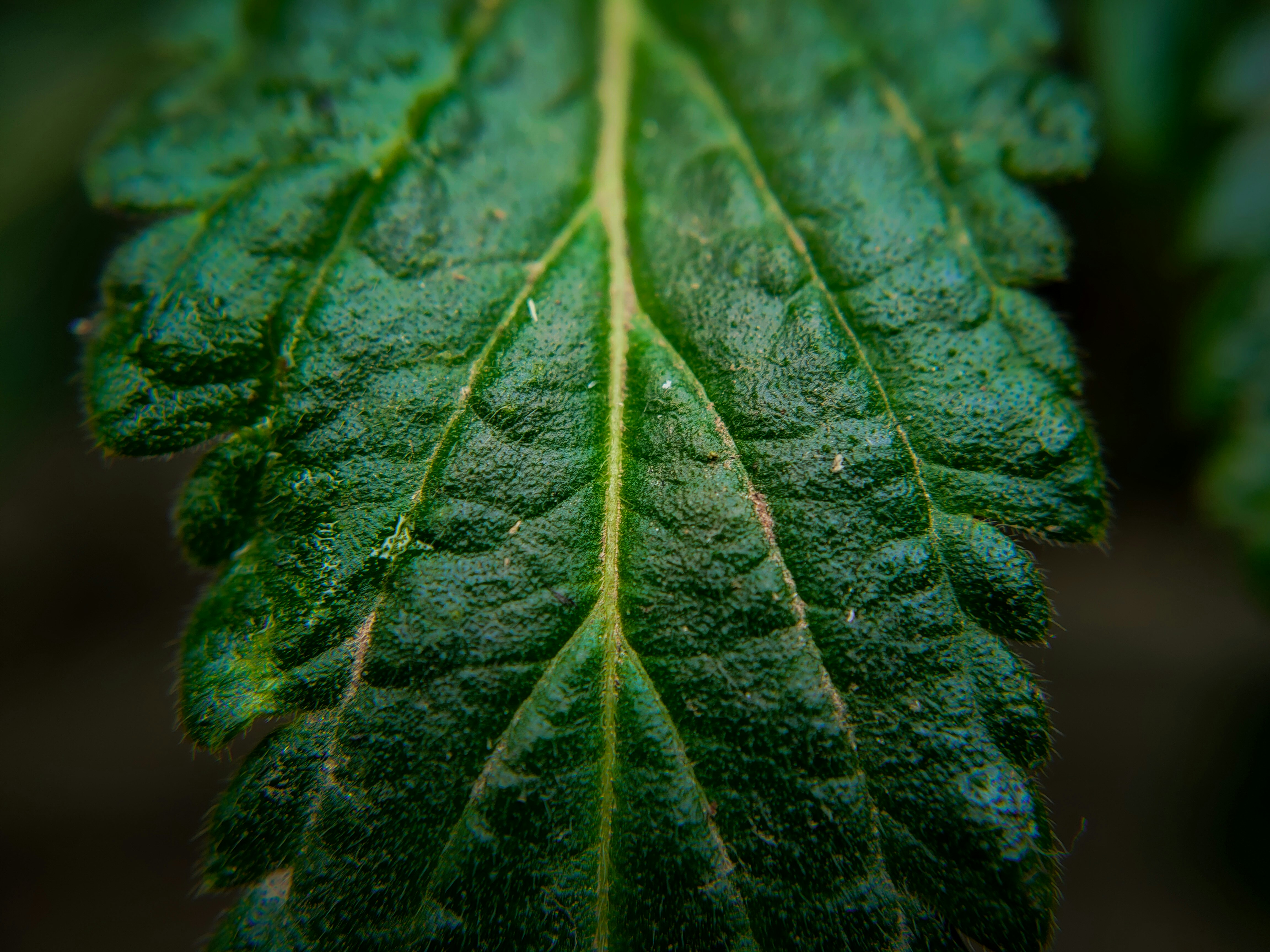 Photo by sujaypaulsp