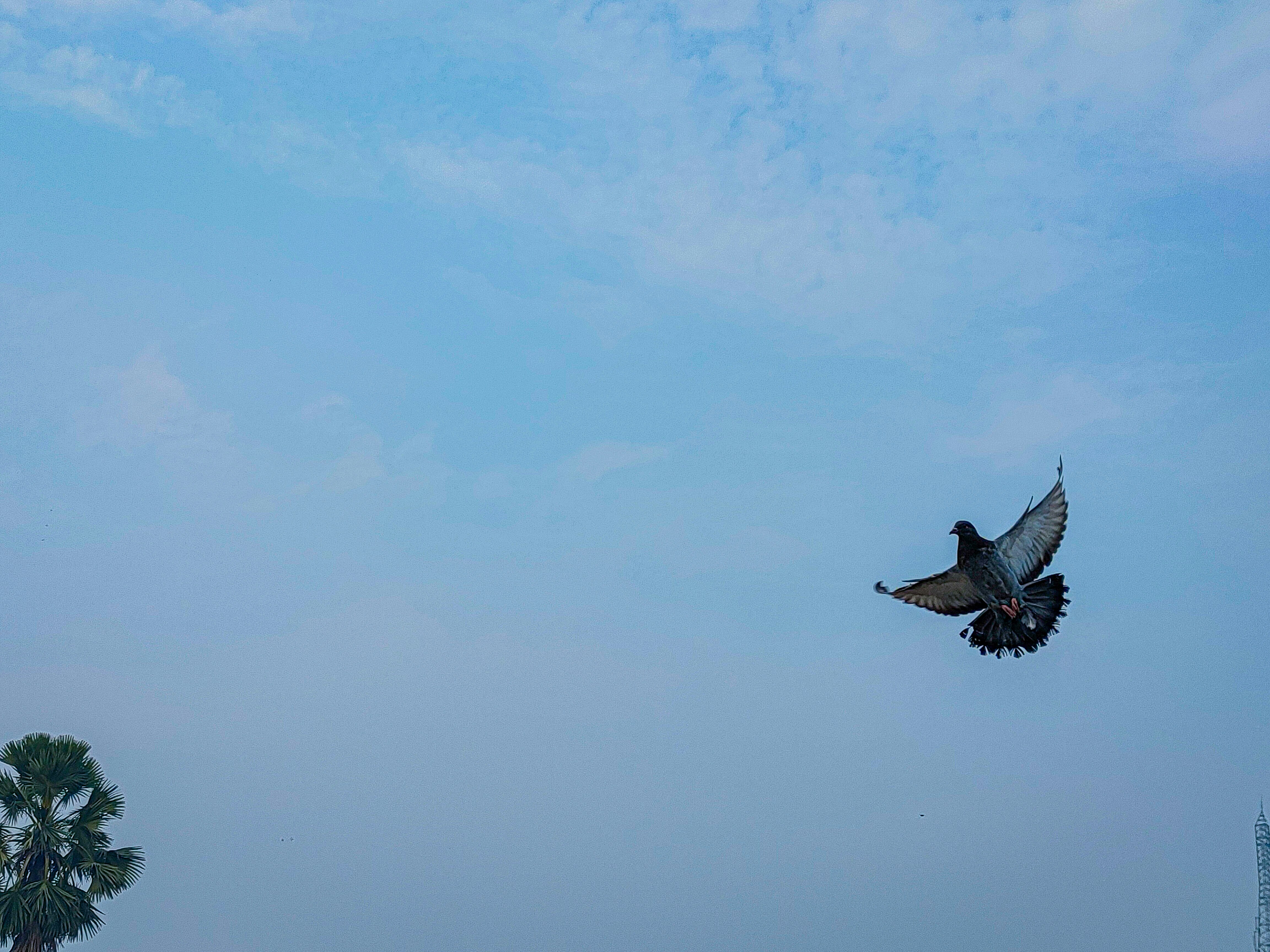 Photo by sujaypaulsp