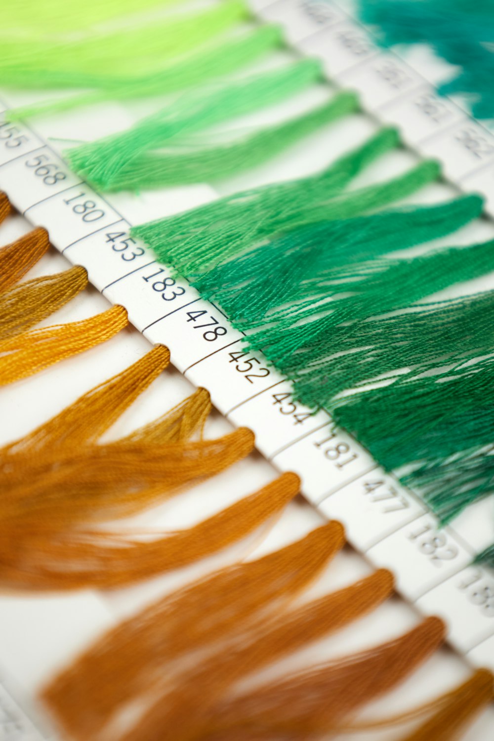 a close up of a number of different colors of hair