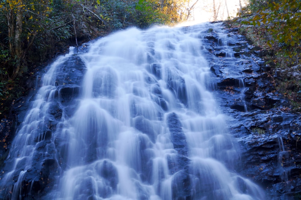 a large waterfall in the middle of a forest