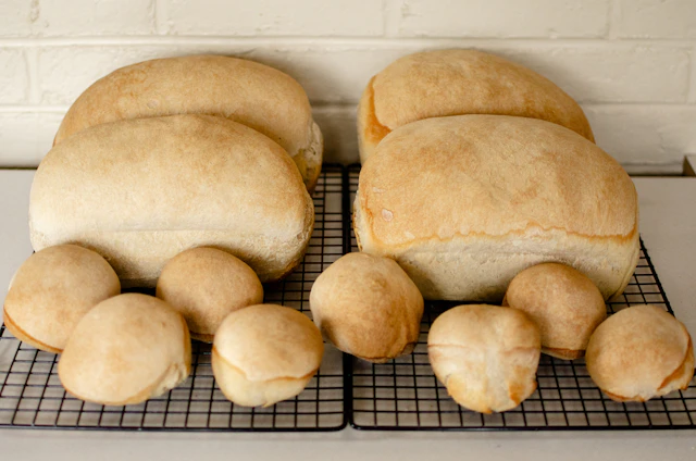 A fresh sourdough loaf cooling on a wire rack