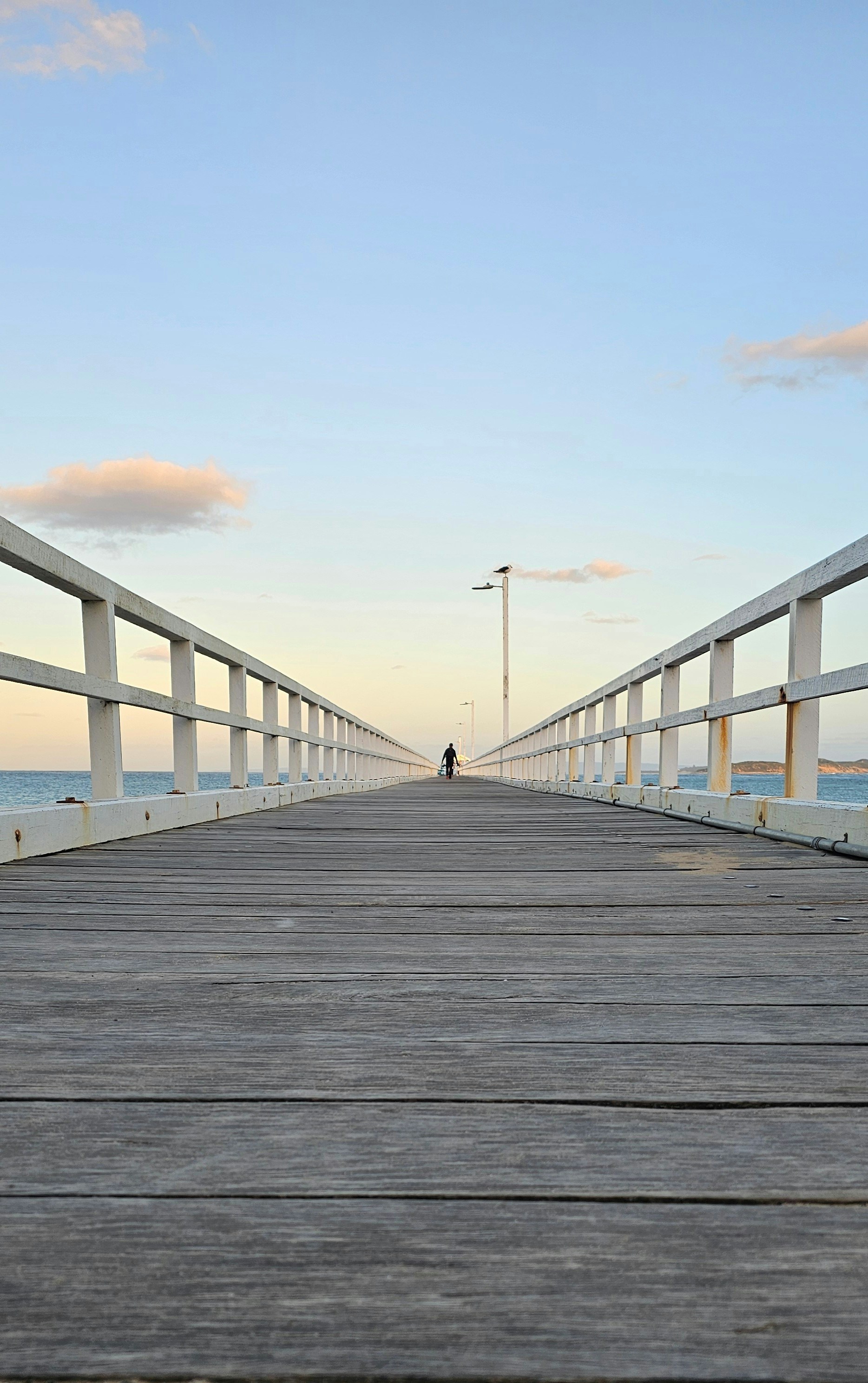 a person standing on a pier next to the ocean