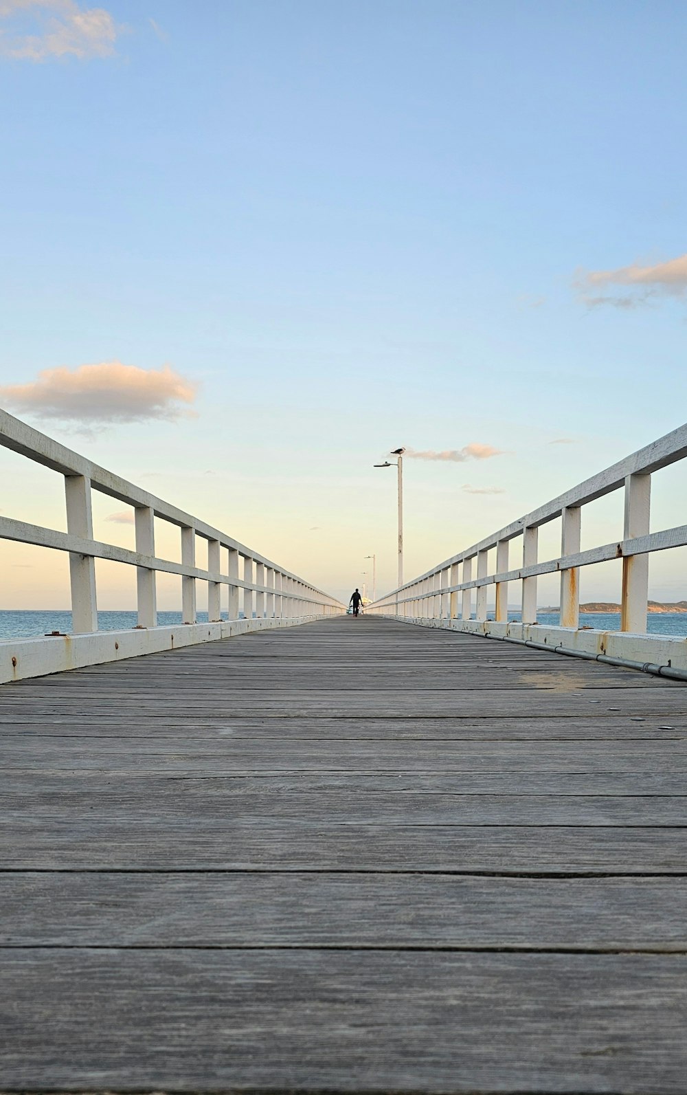 a person standing on a pier next to the ocean