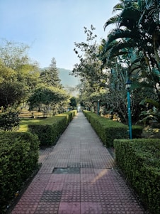 a brick walkway surrounded by hedges and trees