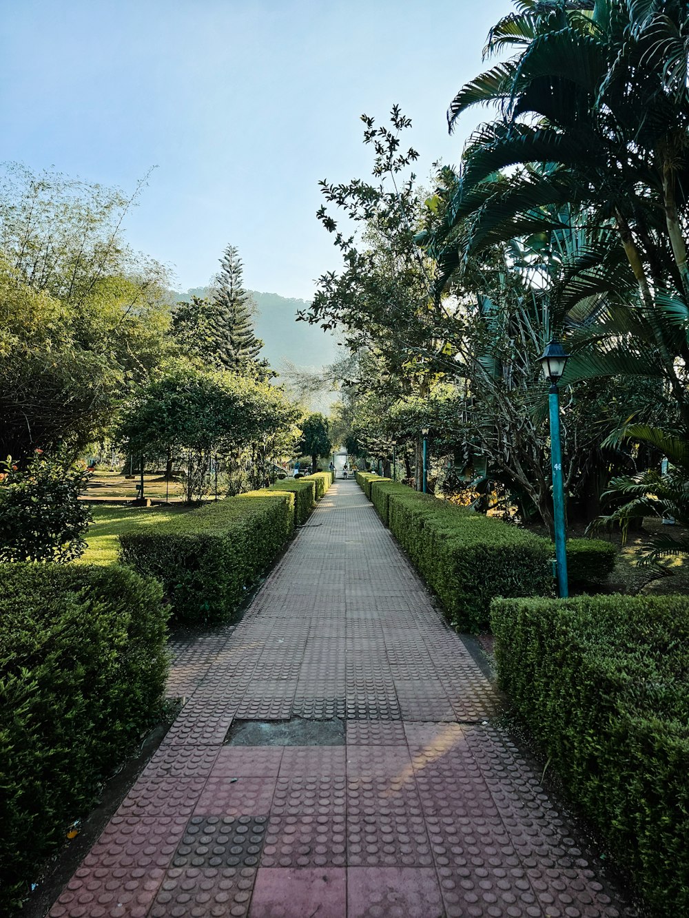 a brick walkway surrounded by hedges and trees