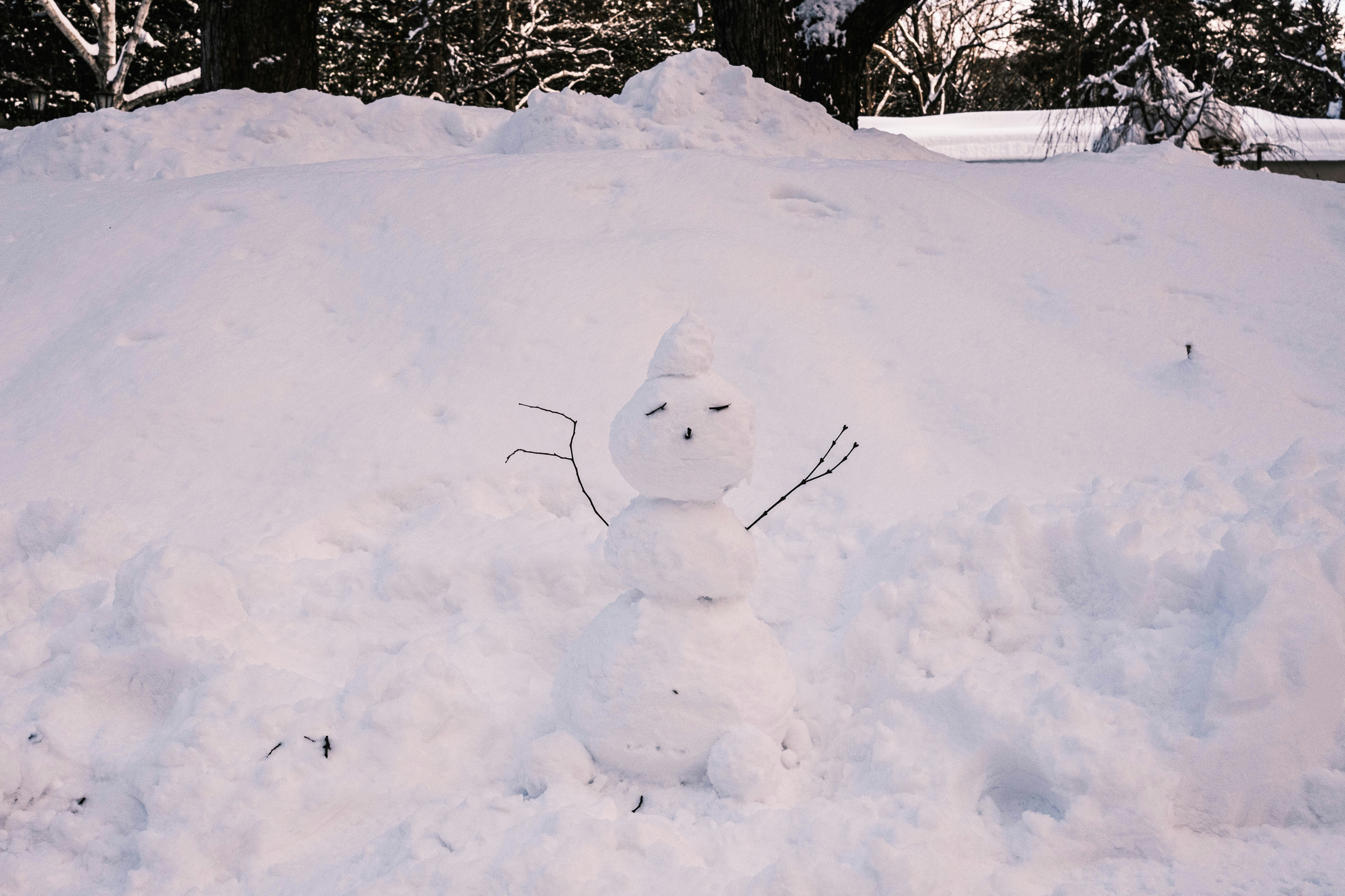 a snowman that is standing in the snow