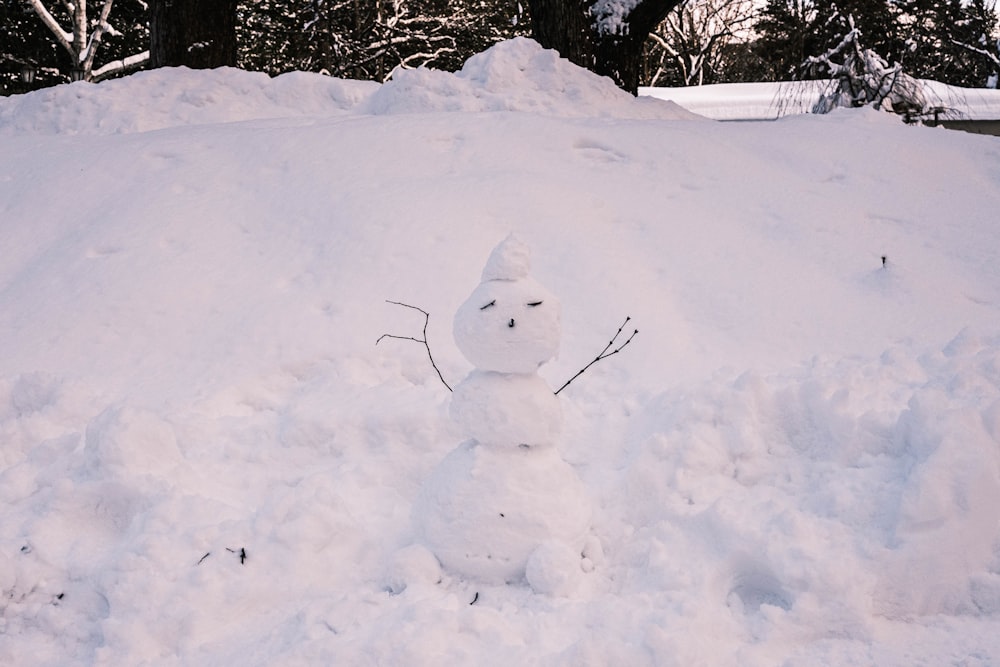 a snowman that is standing in the snow