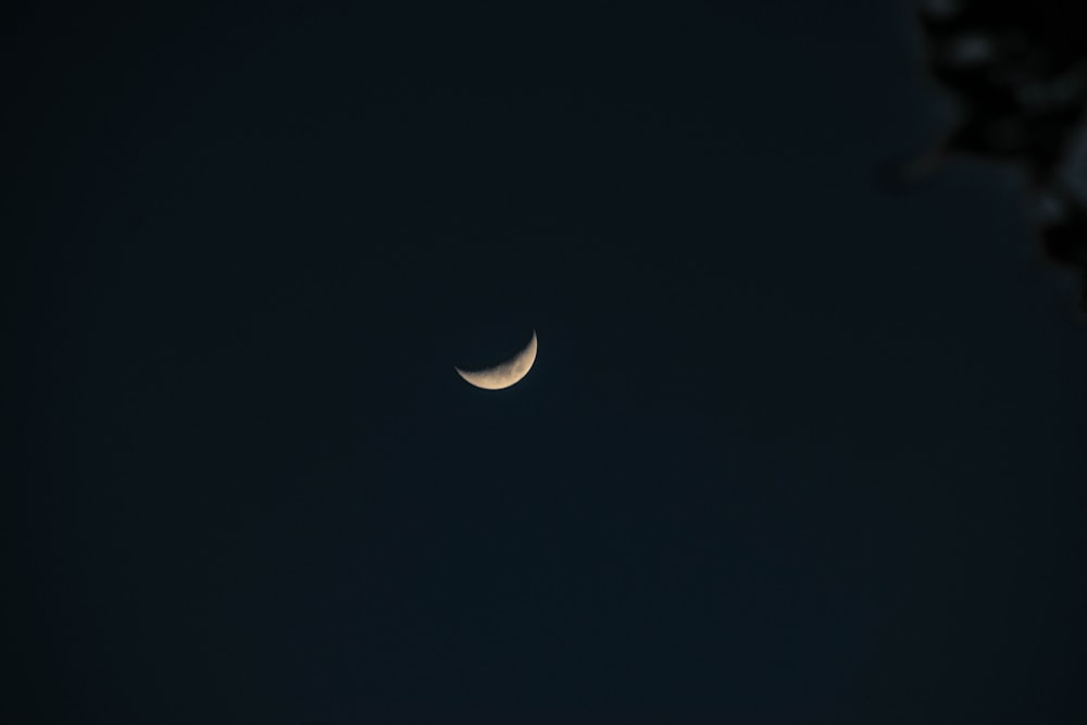 a half moon is seen in the dark sky