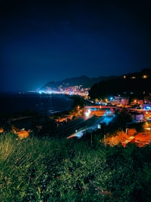 a night time view of a city by the ocean