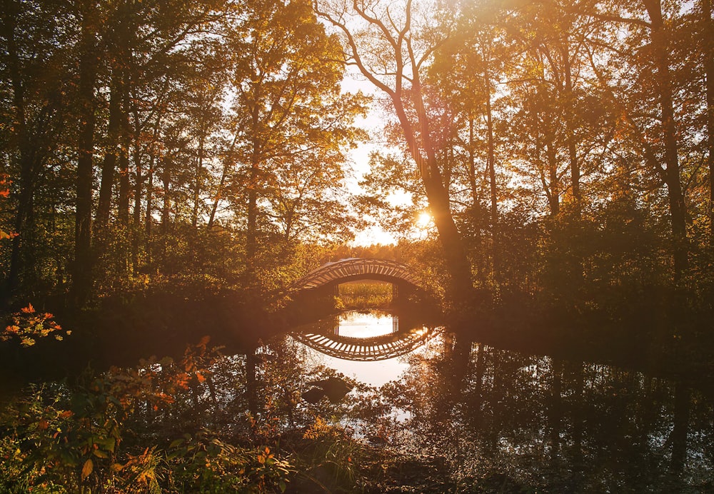 eine Brücke über einen Fluss, umgeben von Bäumen