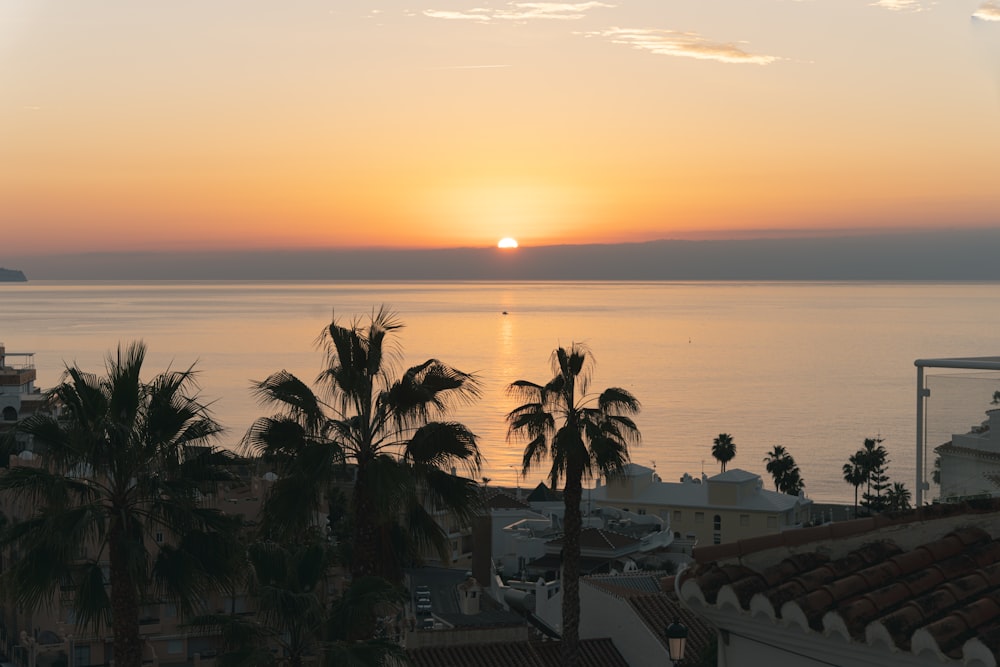 the sun is setting over the ocean with palm trees