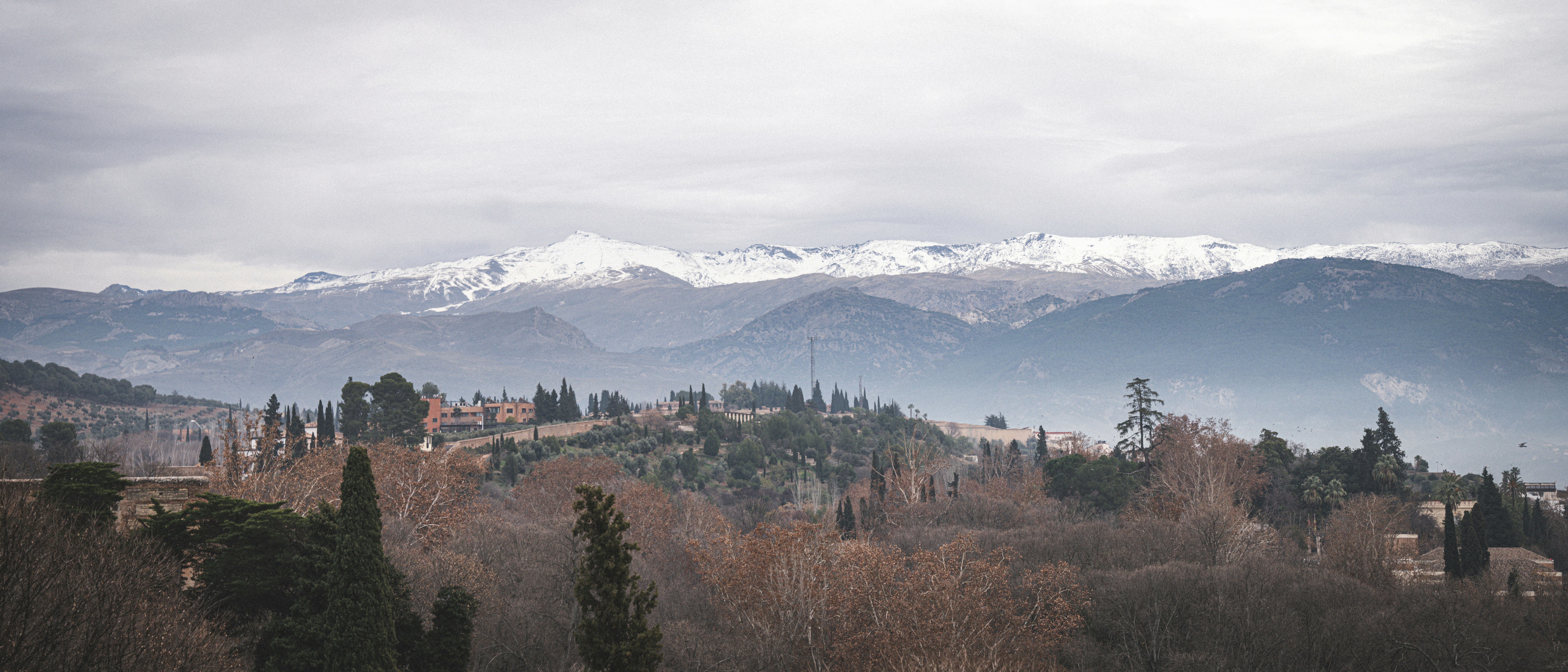 une vue d’une chaîne de montagnes avec des arbres au premier plan