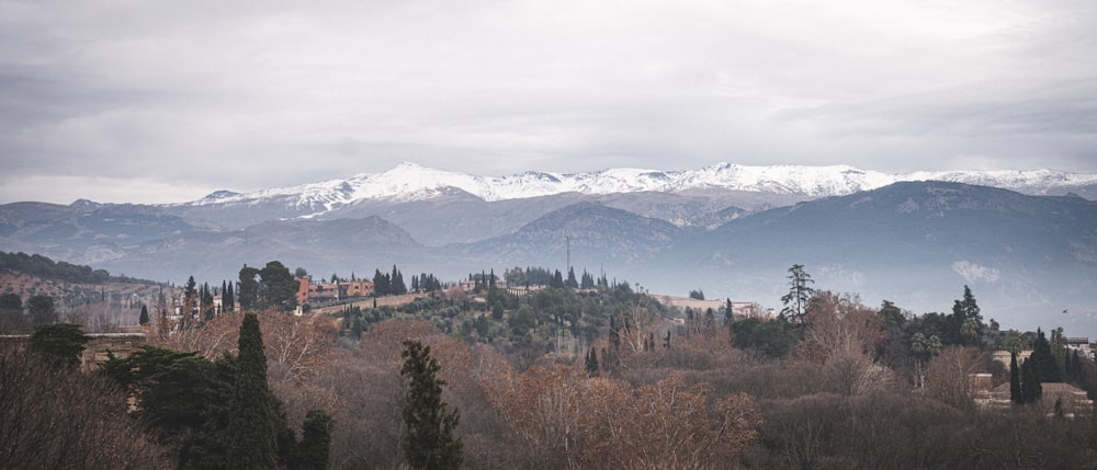 a view of a mountain range with trees in the foreground