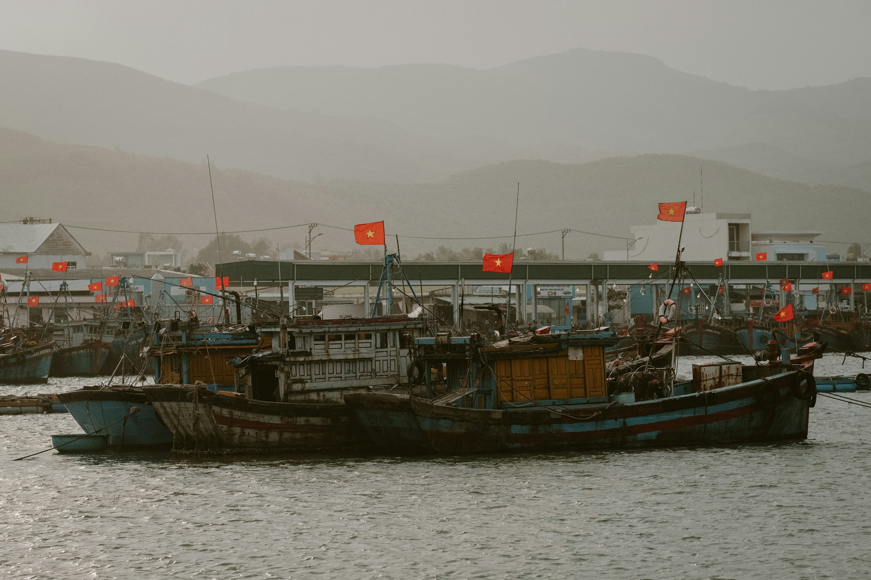 Photo by nguyentrungnguyen