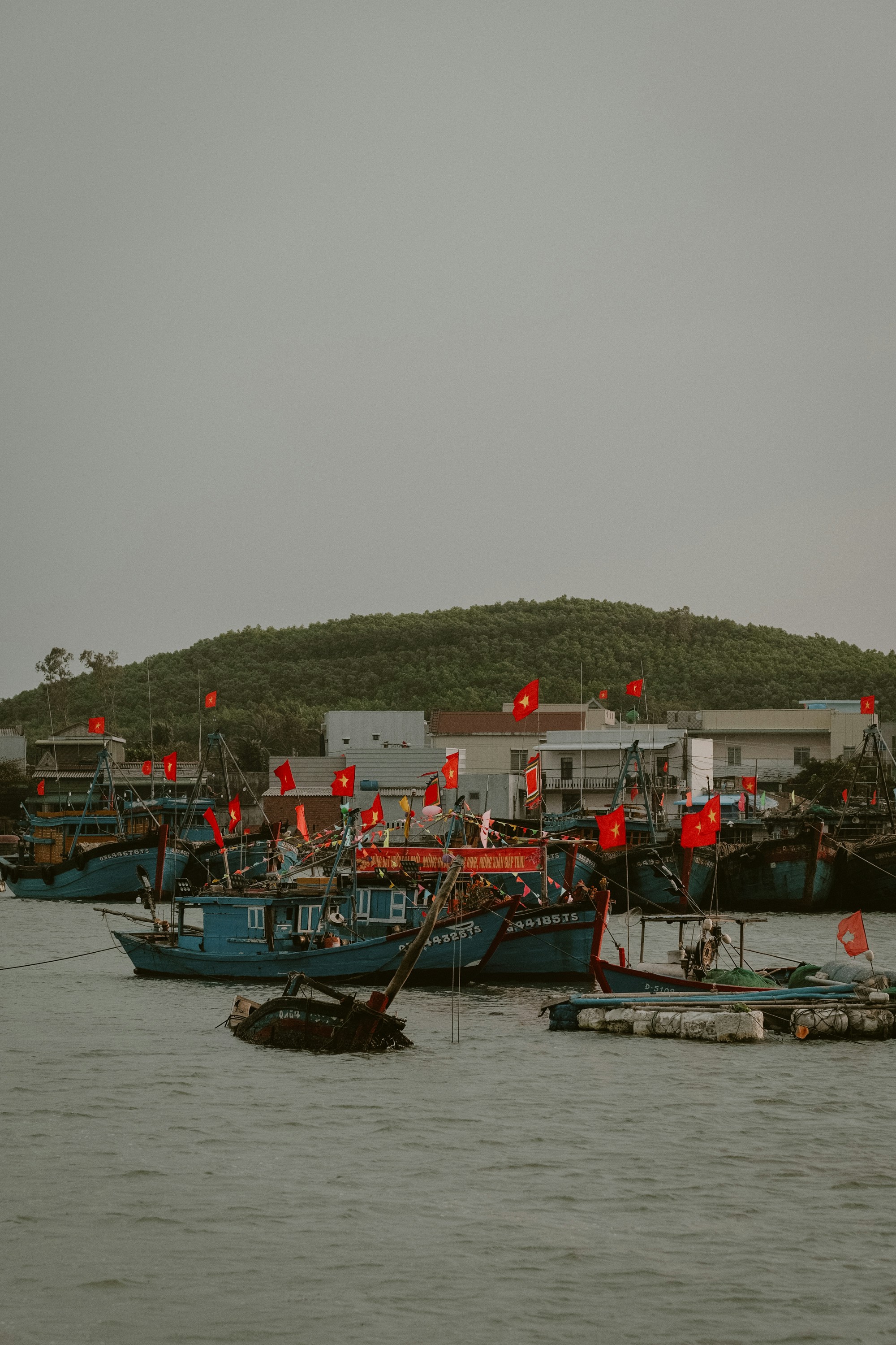 Photo by nguyentrungnguyen