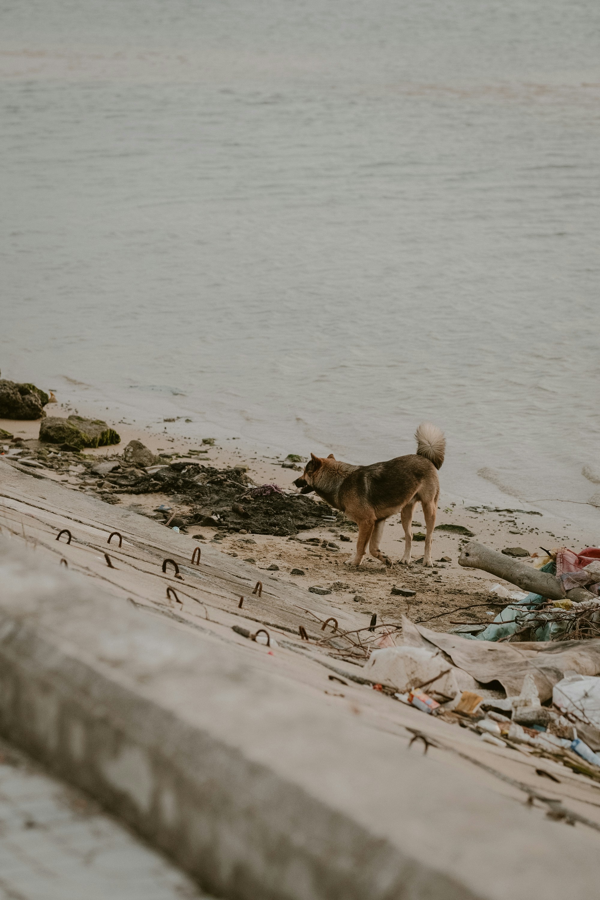 Photo by nguyentrungnguyen