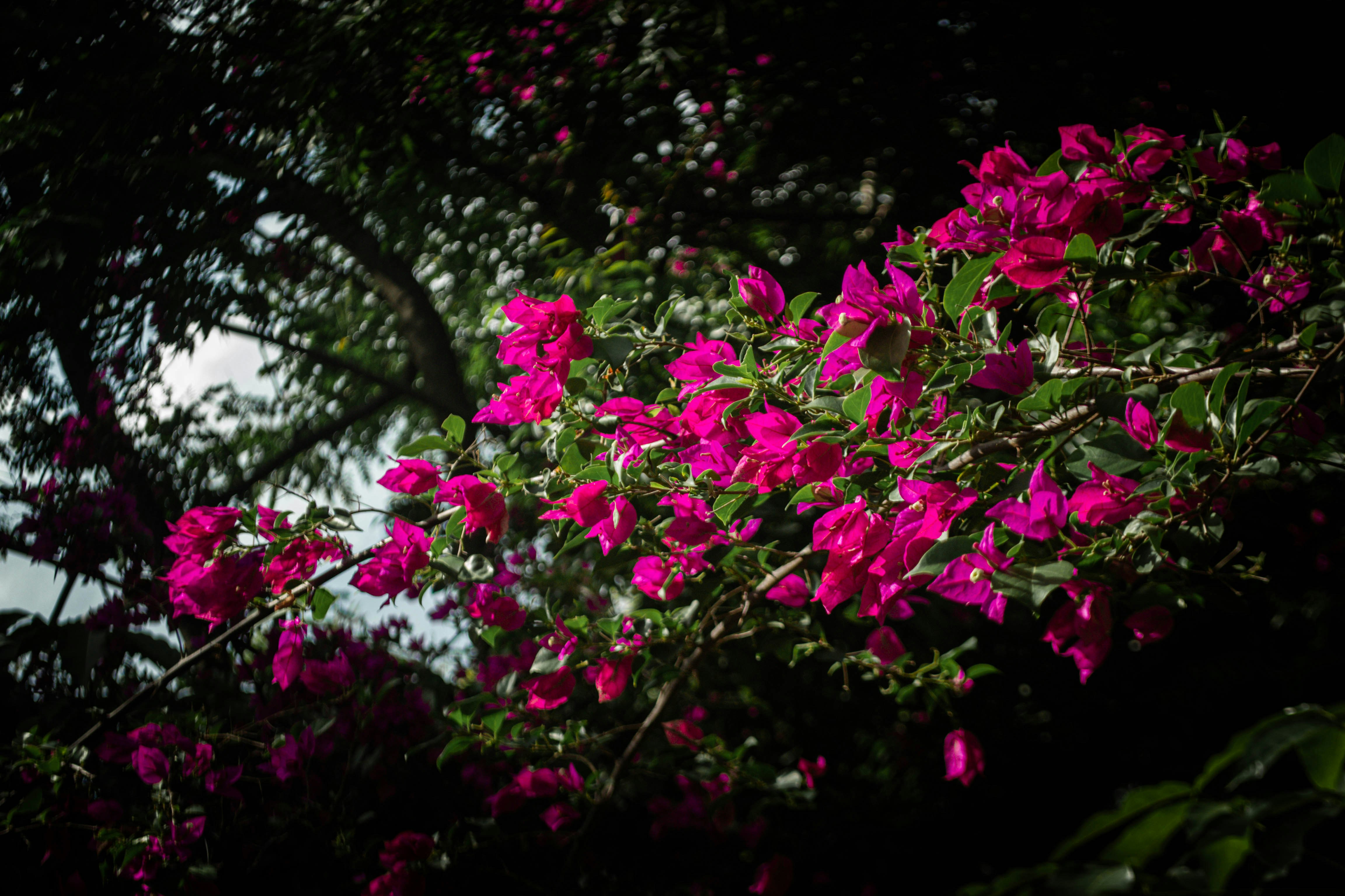 Photo by cadmoantunes