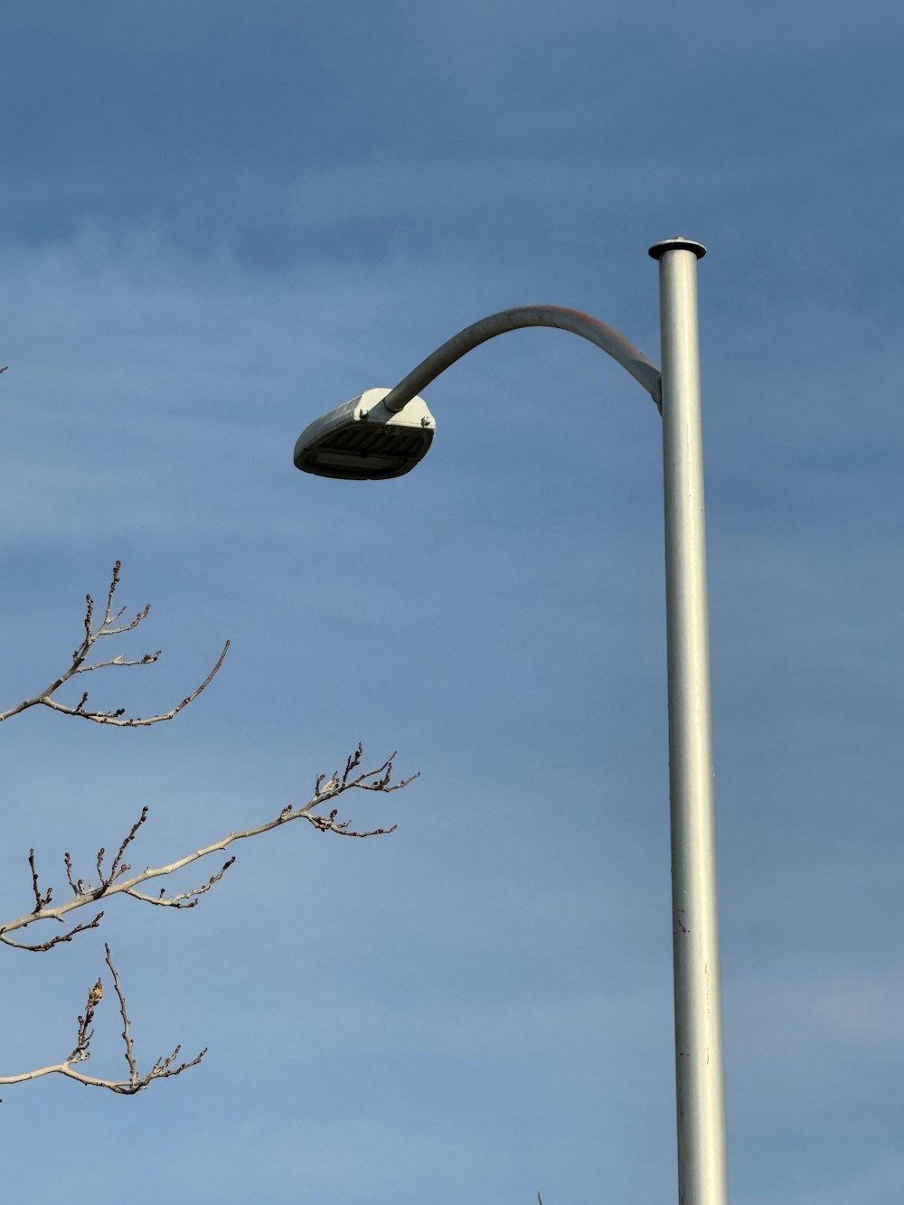 a street light on a pole next to a tree