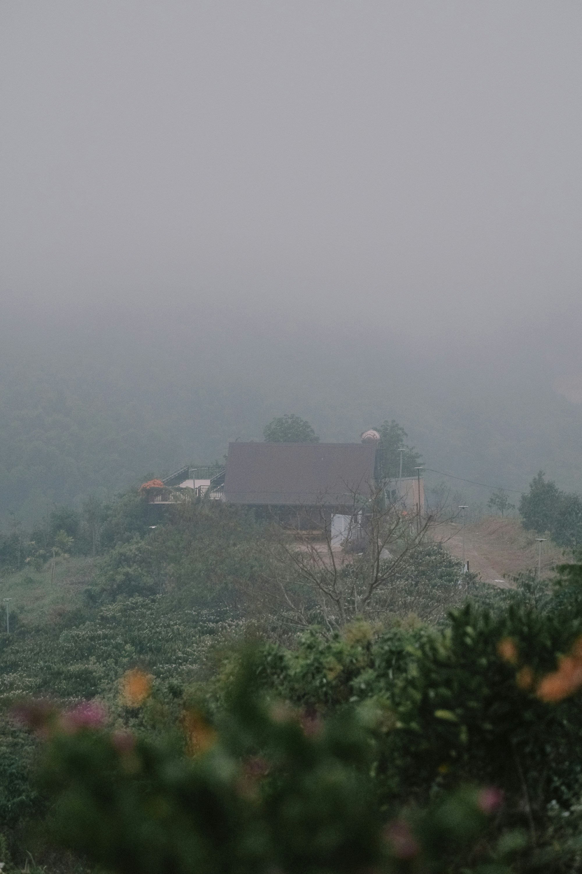 Photo by nguyentrungnguyen