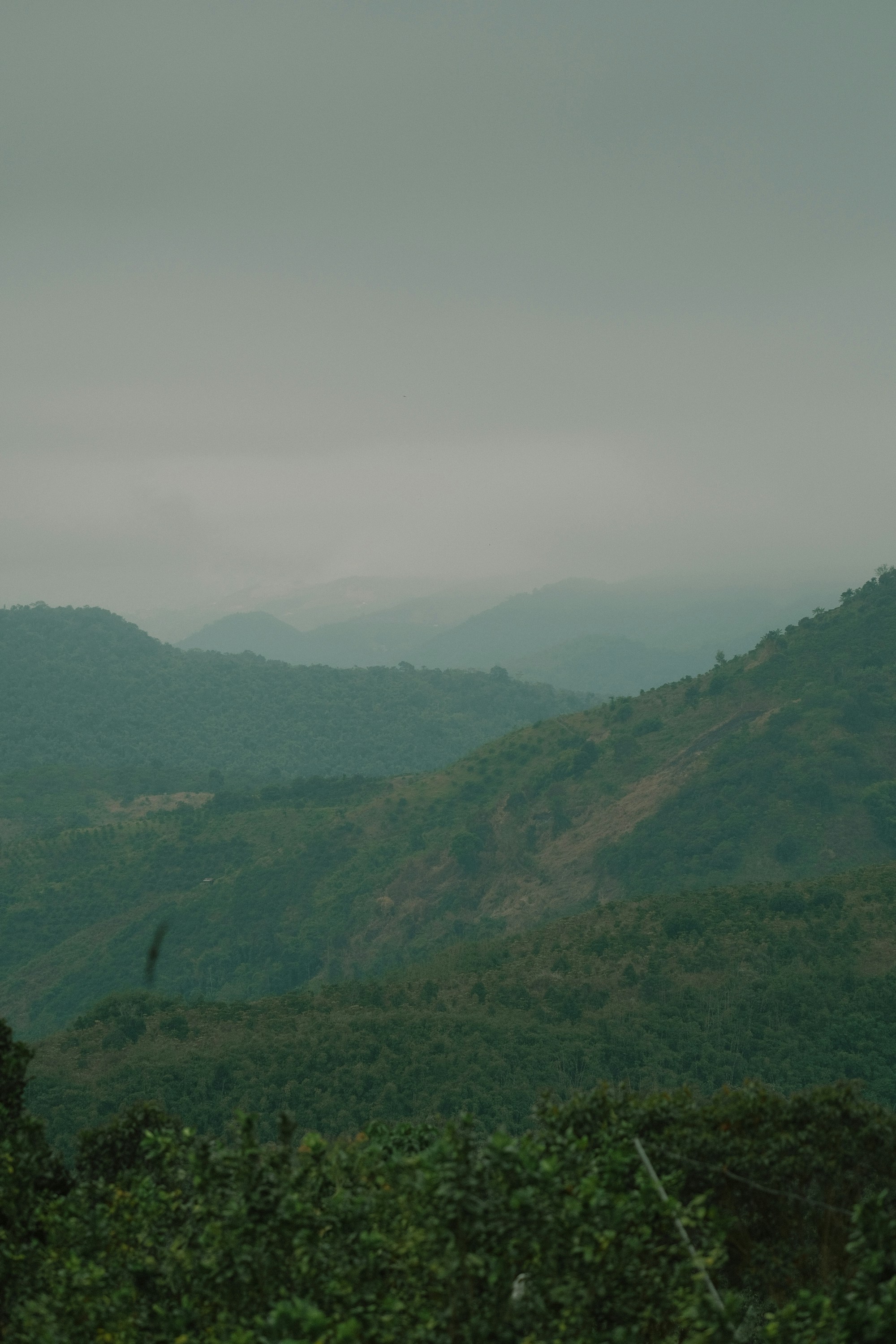 Photo by nguyentrungnguyen