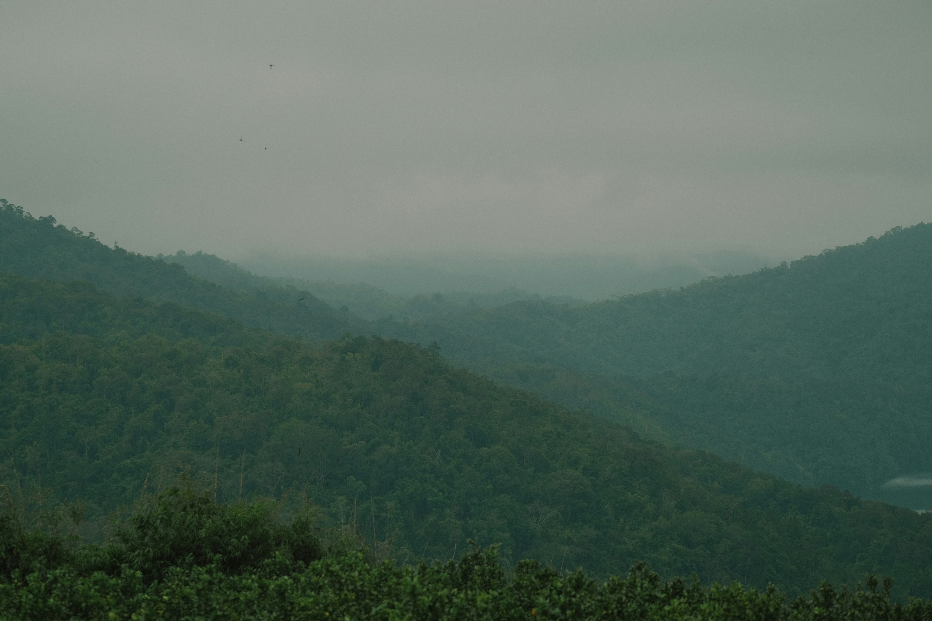 Photo by nguyentrungnguyen