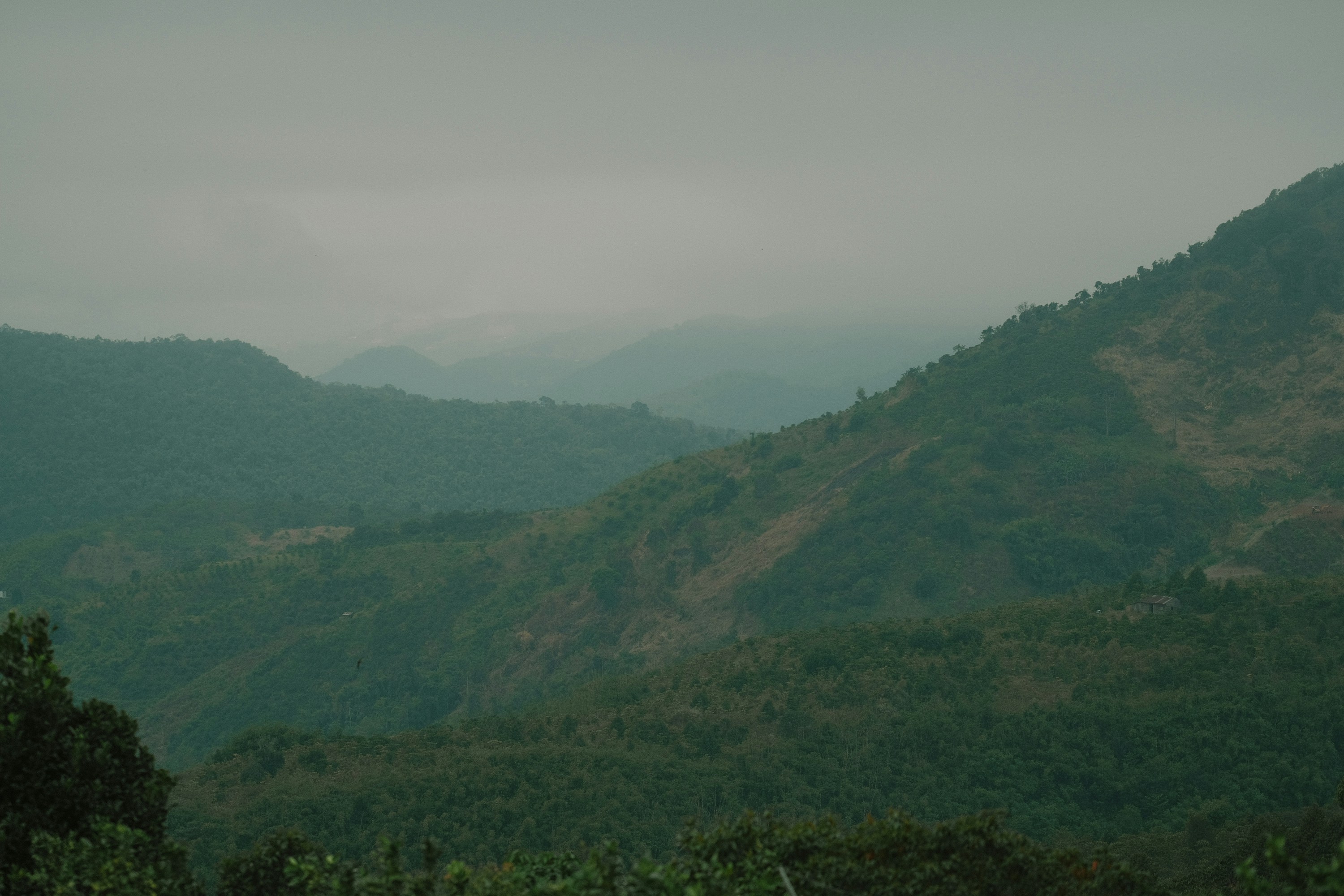 Photo by nguyentrungnguyen