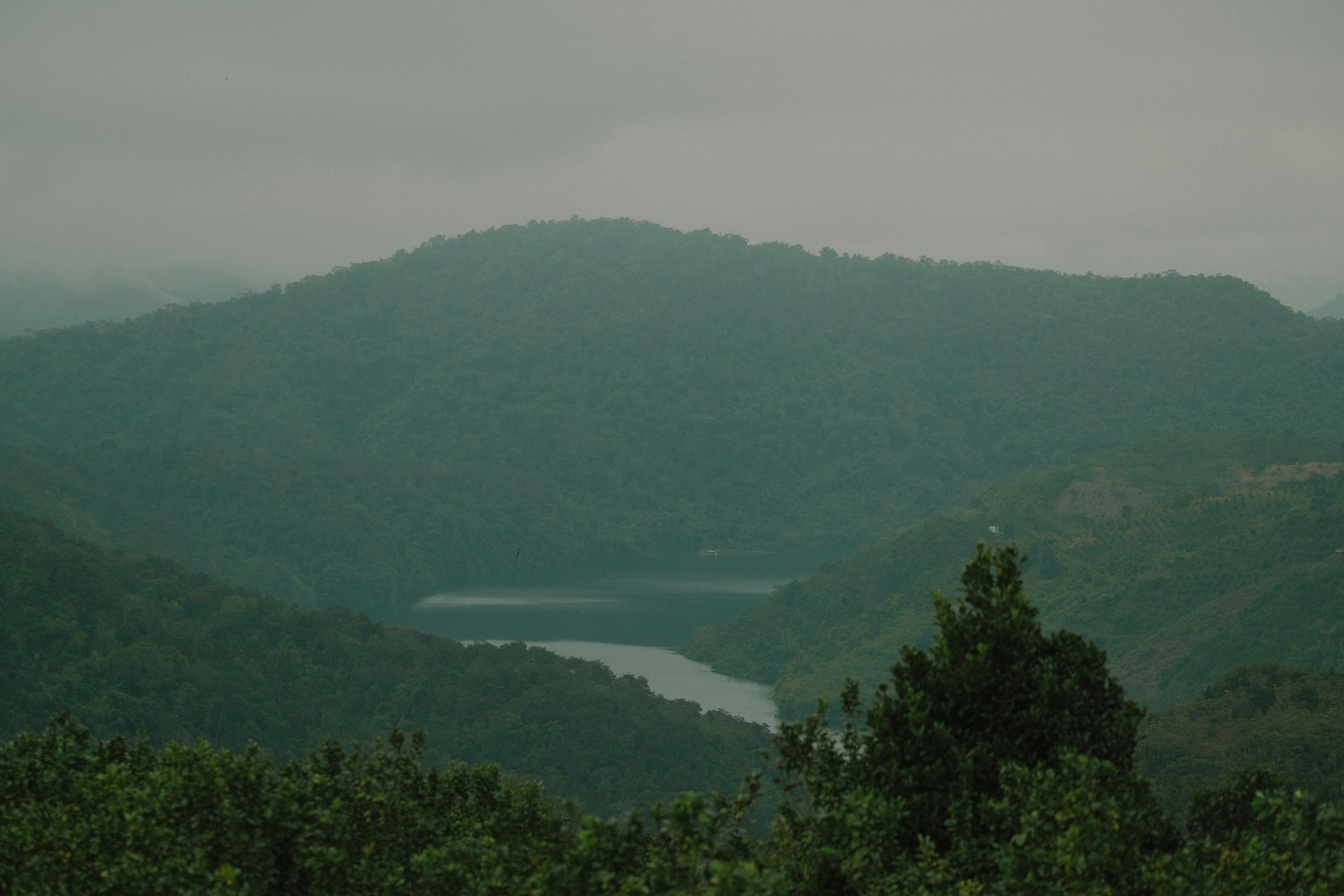 Photo by nguyentrungnguyen