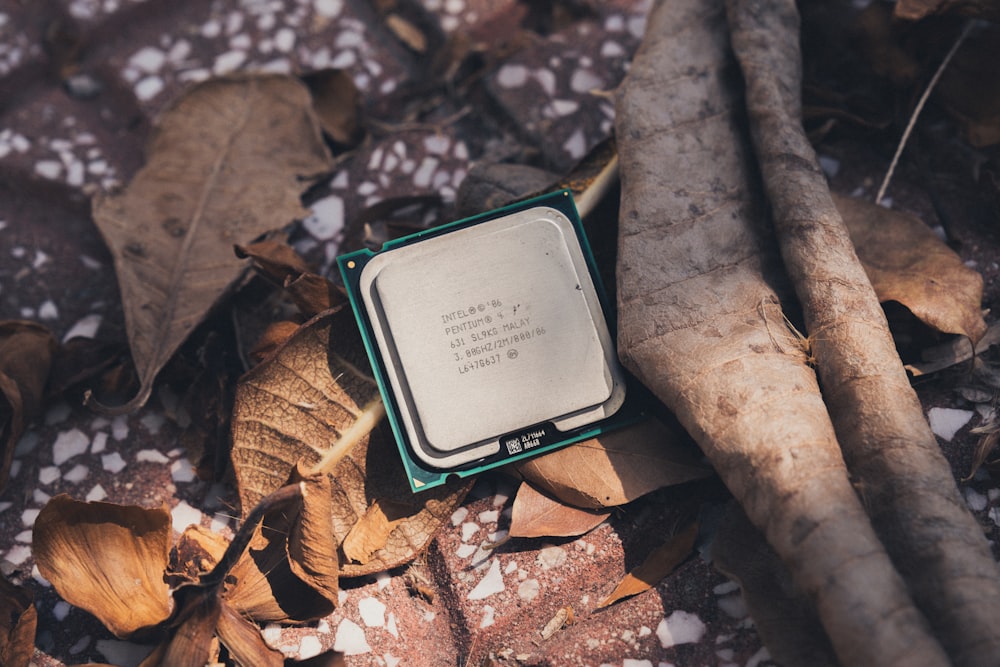 a cpu chip sitting on top of a pile of leaves