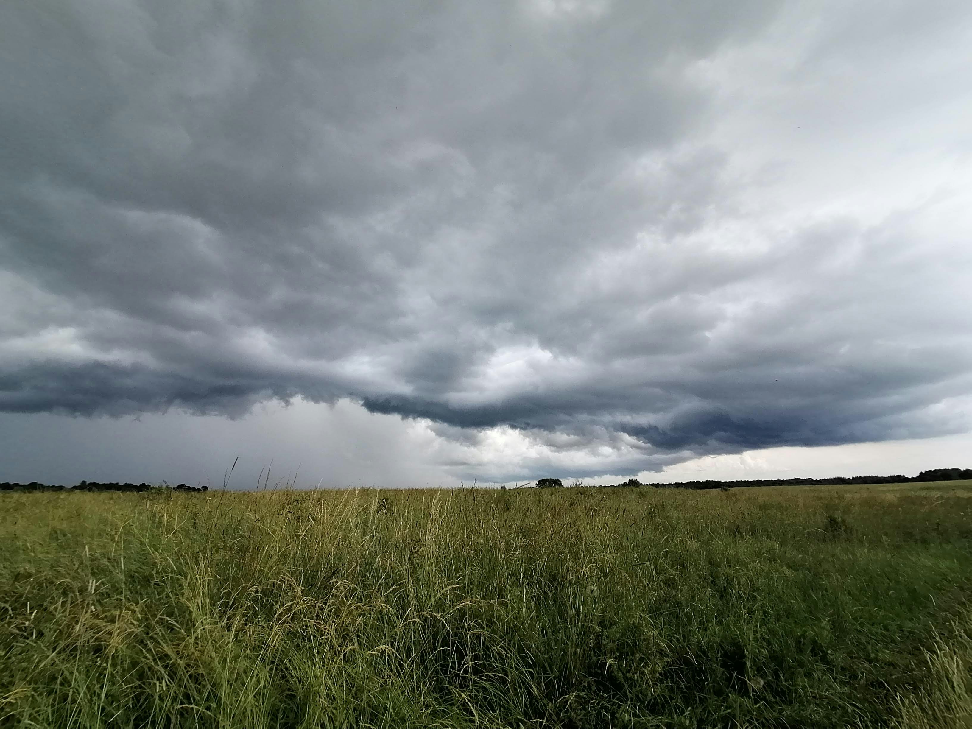 Loving God, you are the author of all