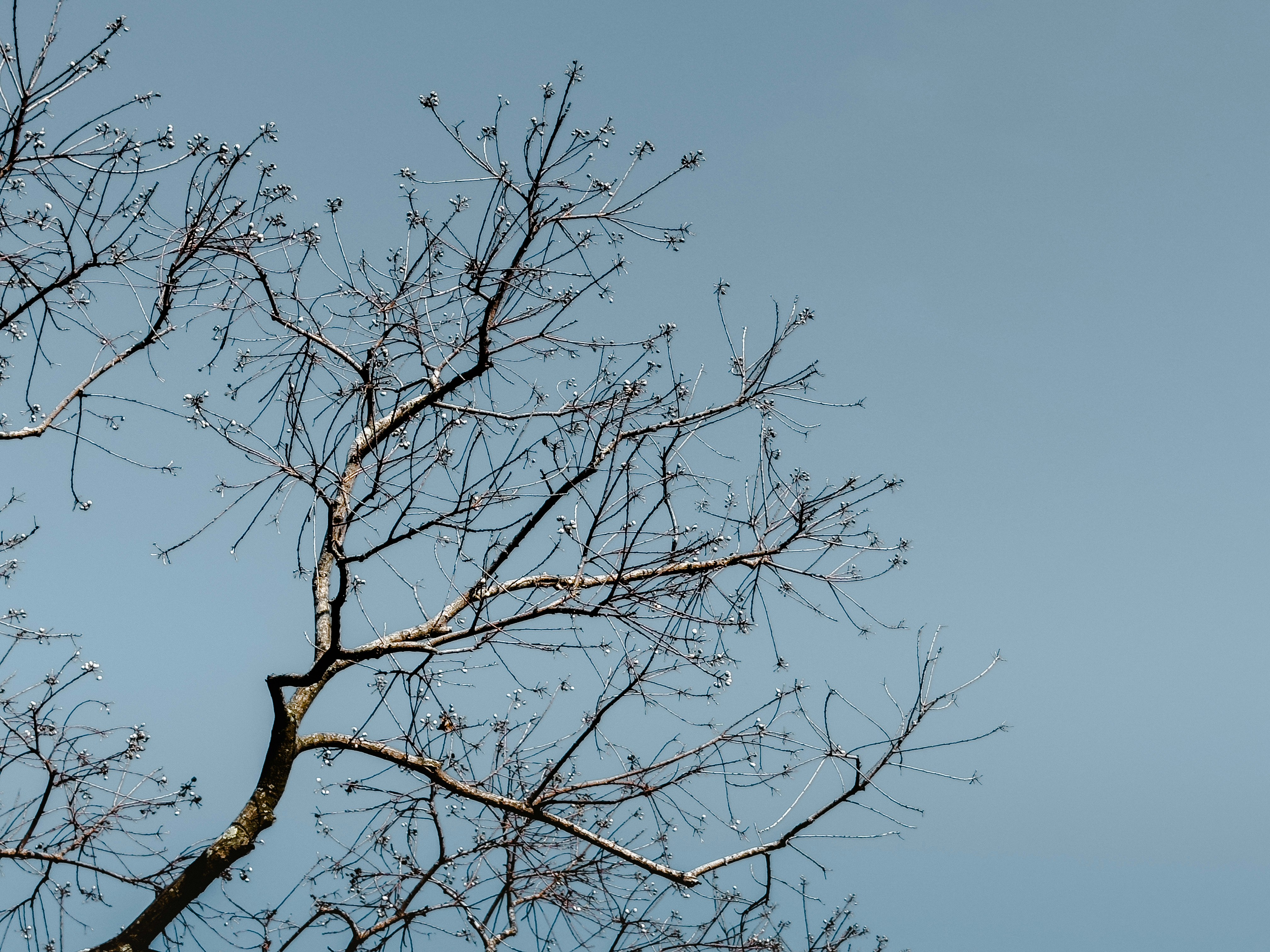 Photo by dickenslin76