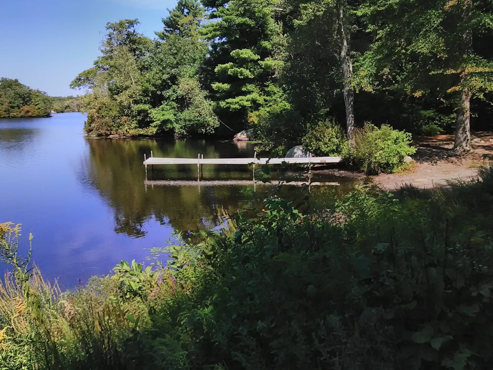 a lake with a dock in the middle of it