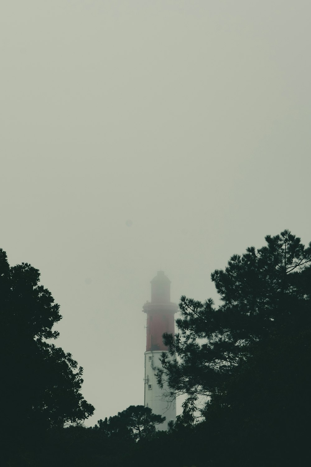 um farol cercado por árvores em um dia de nevoeiro