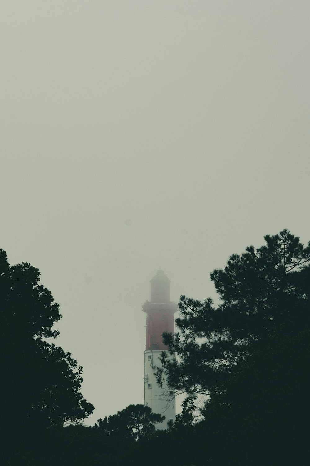 a light house surrounded by trees on a foggy day