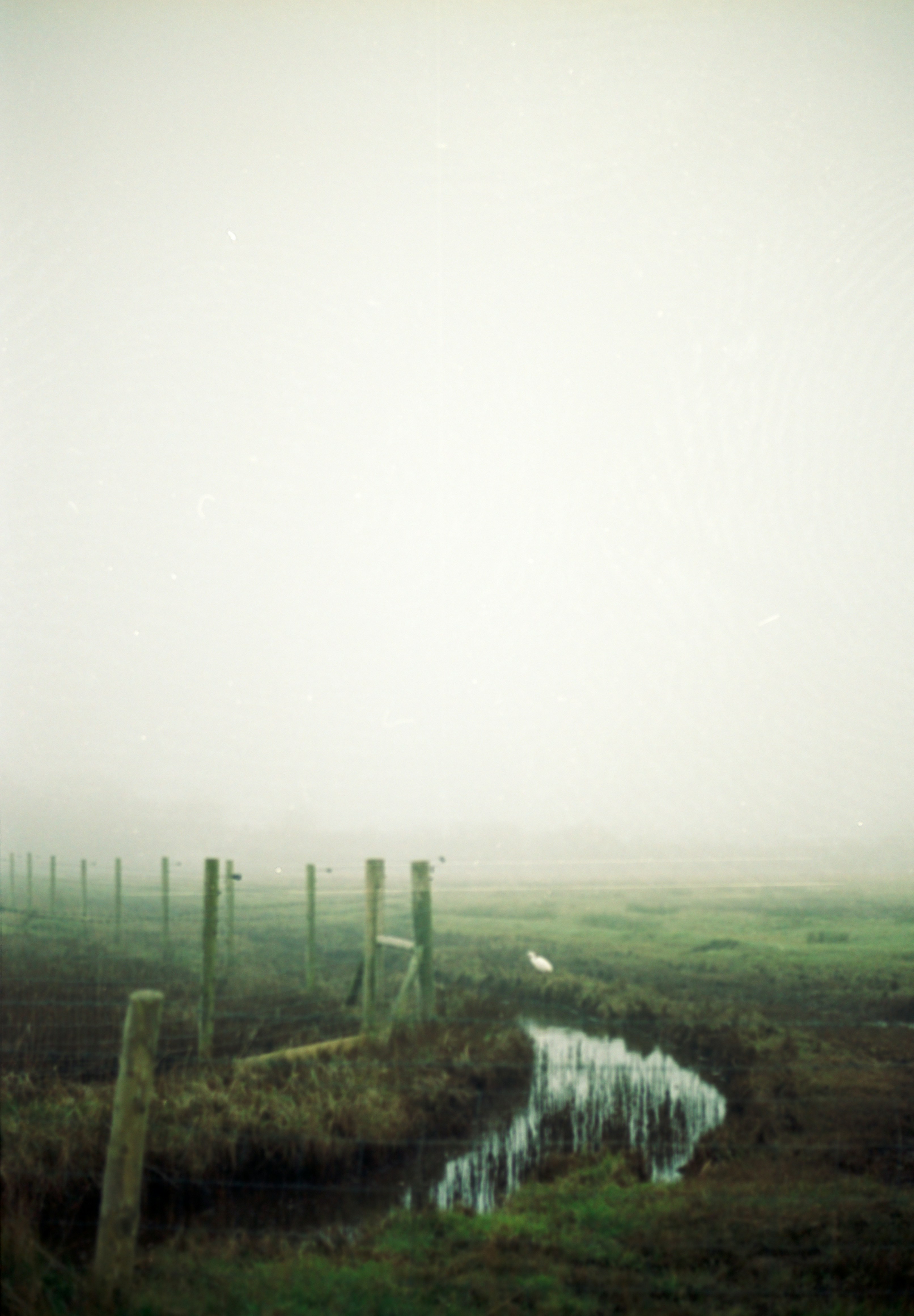 Photo by anniespratt