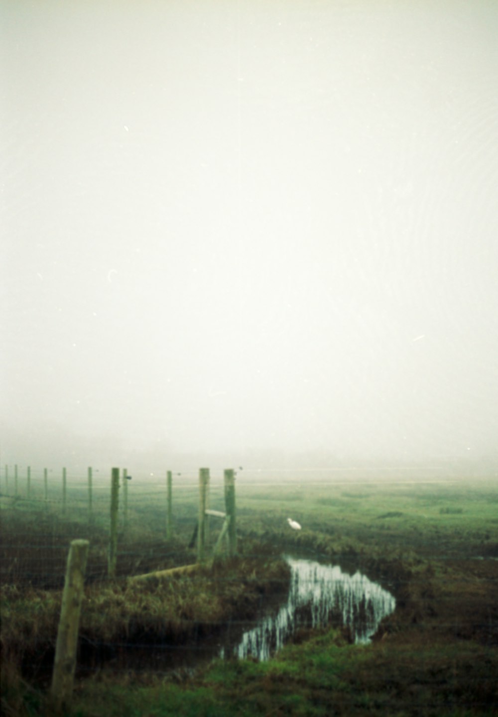 a foggy field with a stream running through it