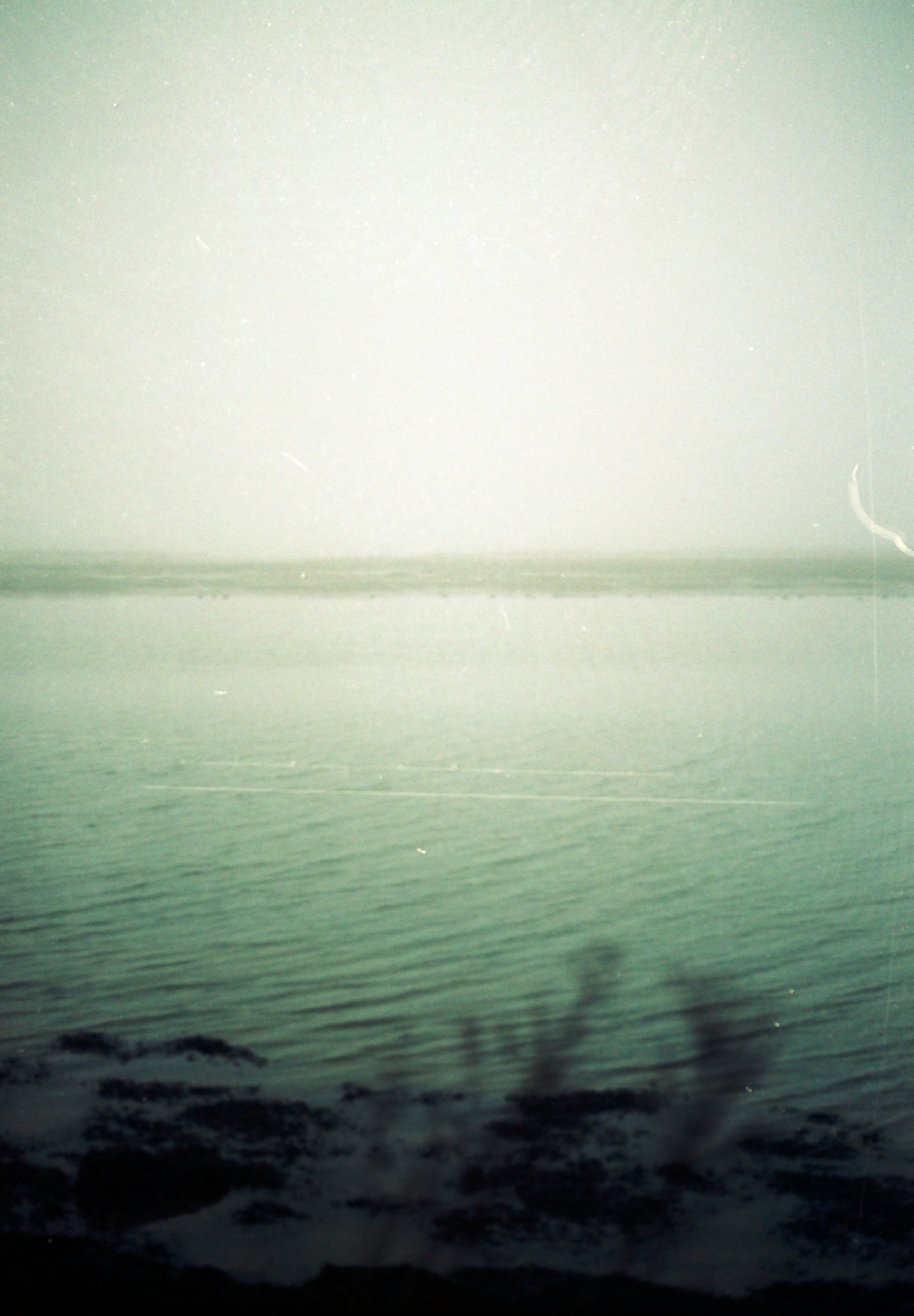 Photo by anniespratt