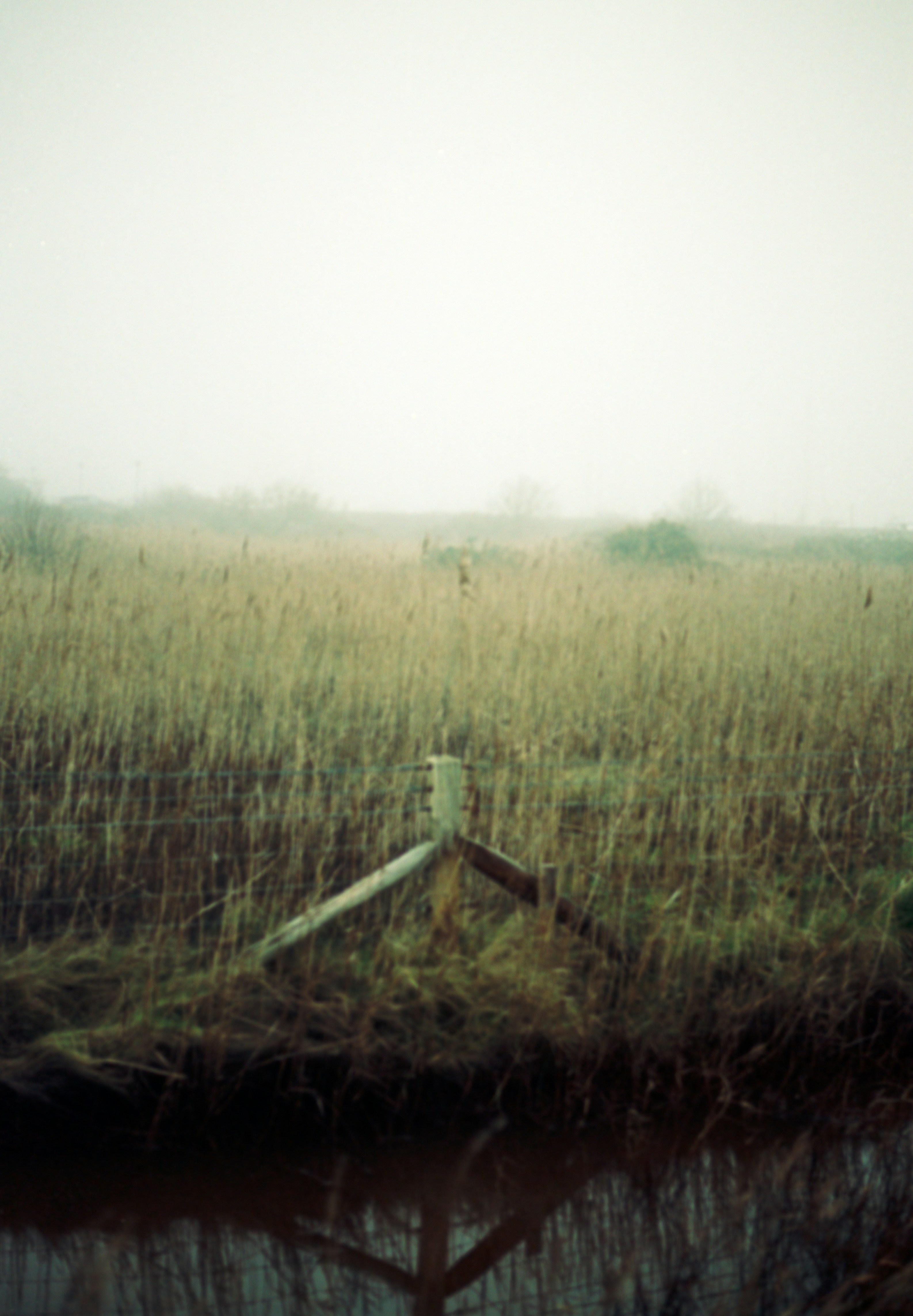 Photo by anniespratt