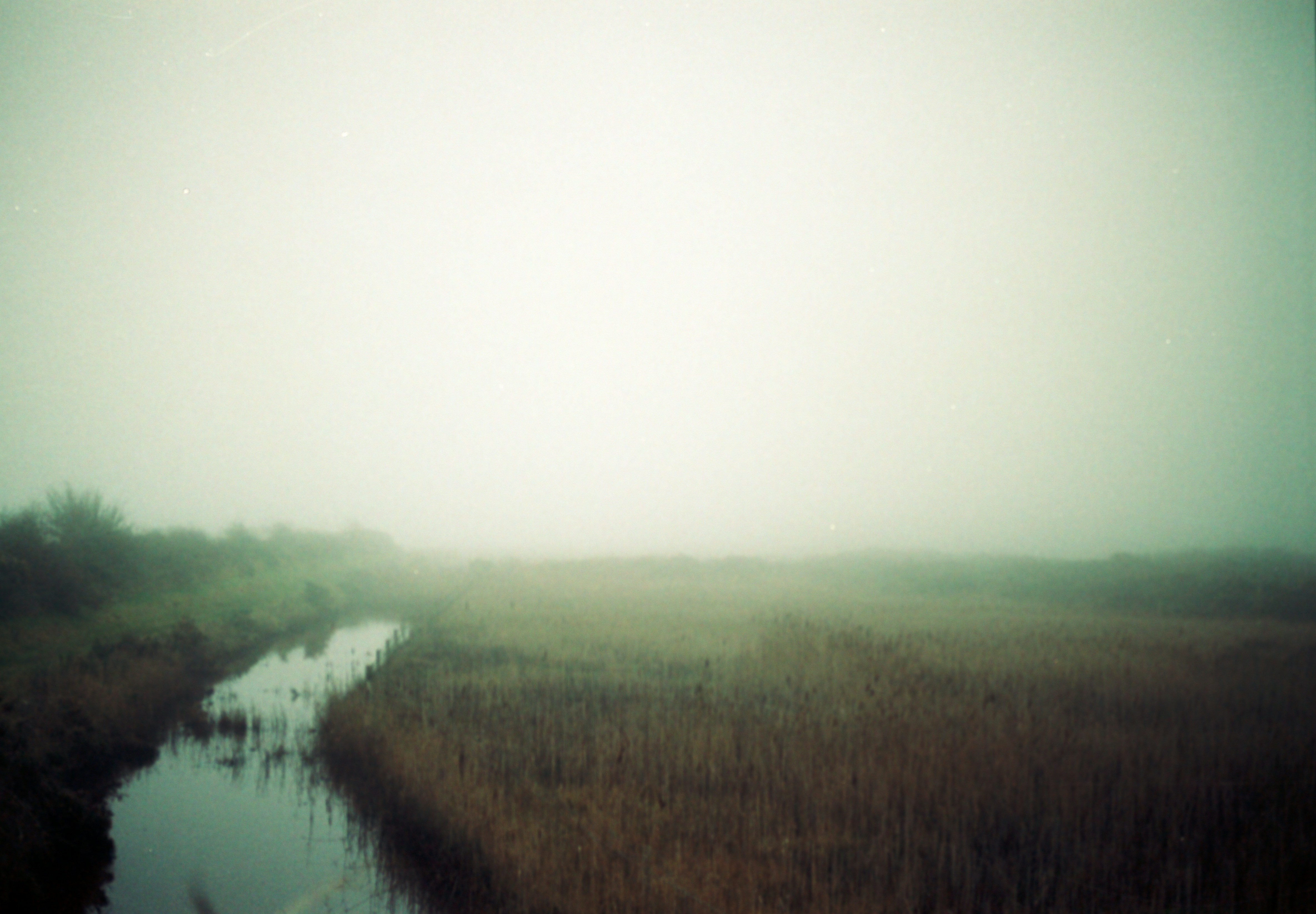 Photo by anniespratt