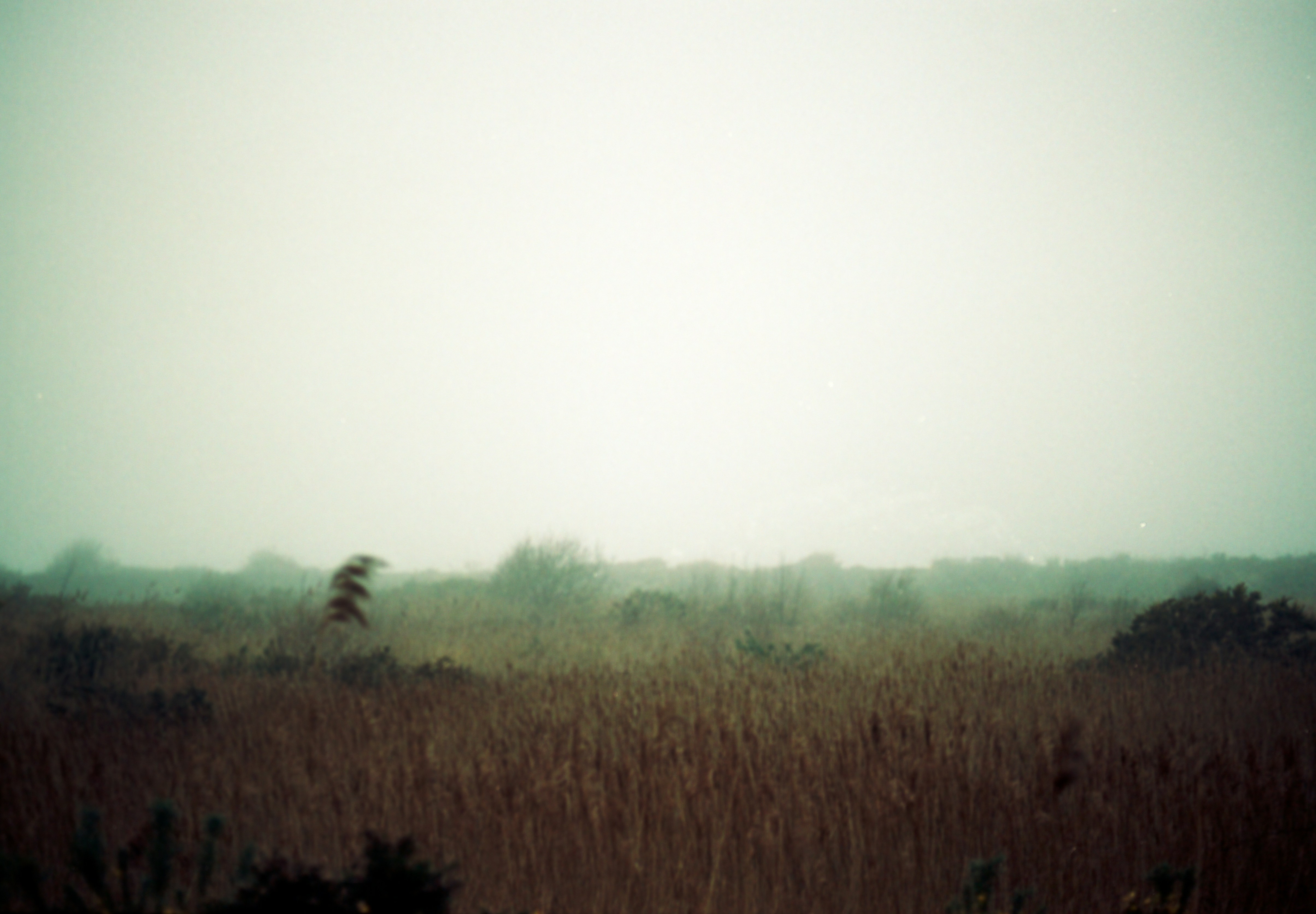 Photo by anniespratt