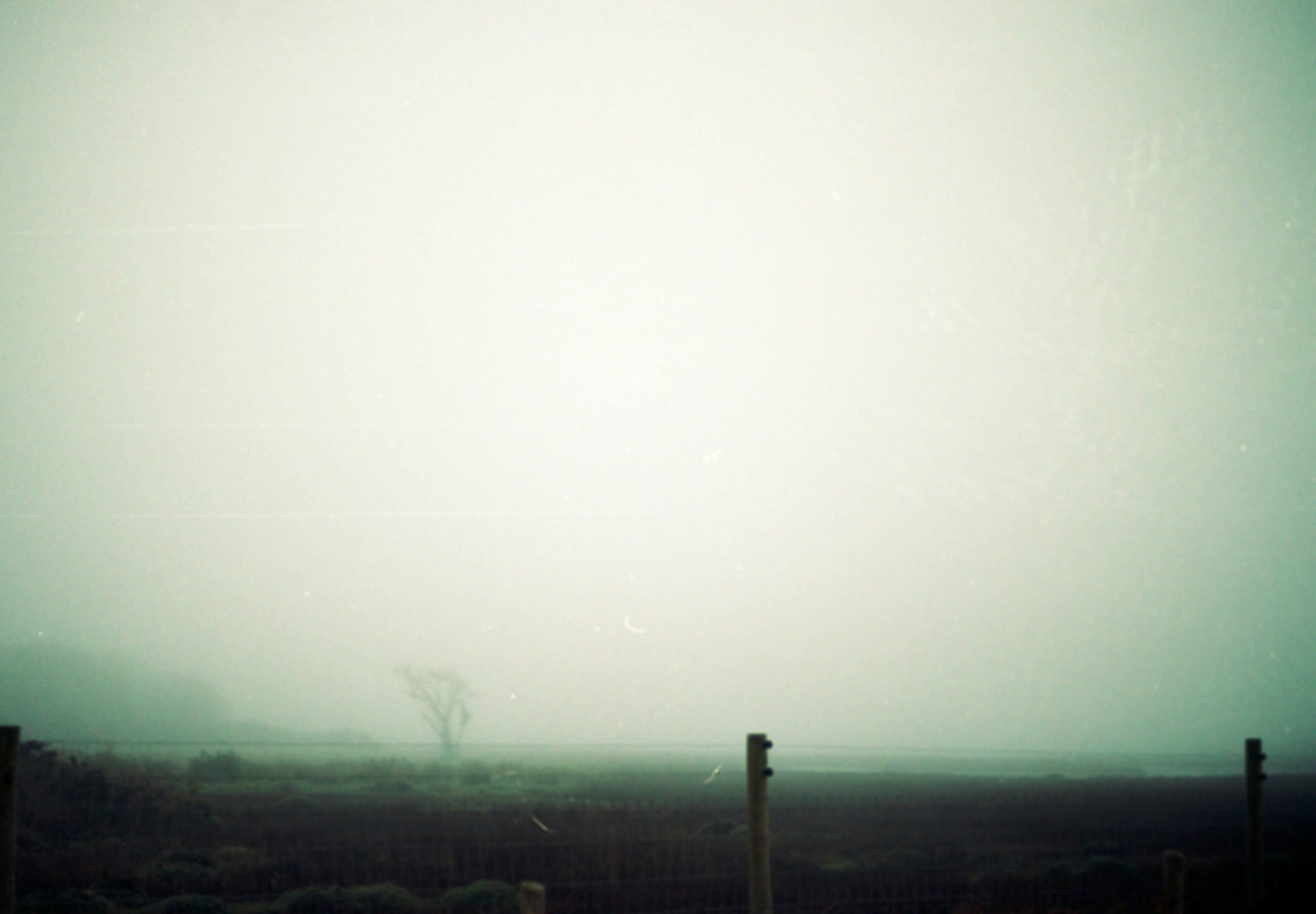 Photo by anniespratt