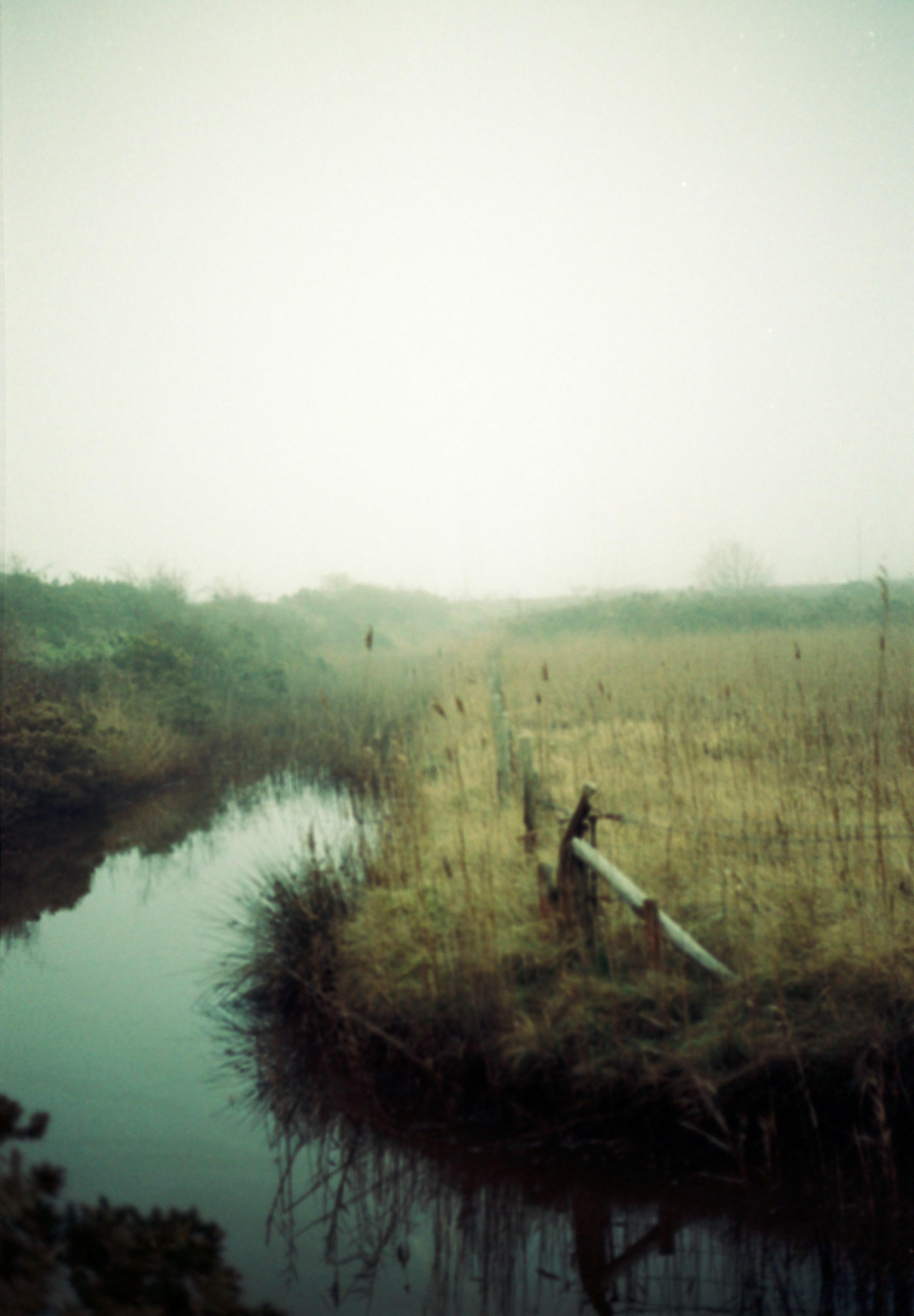 Photo by anniespratt