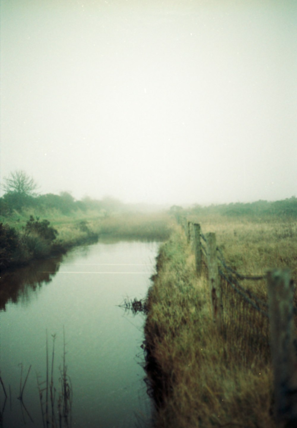 a foggy field next to a body of water