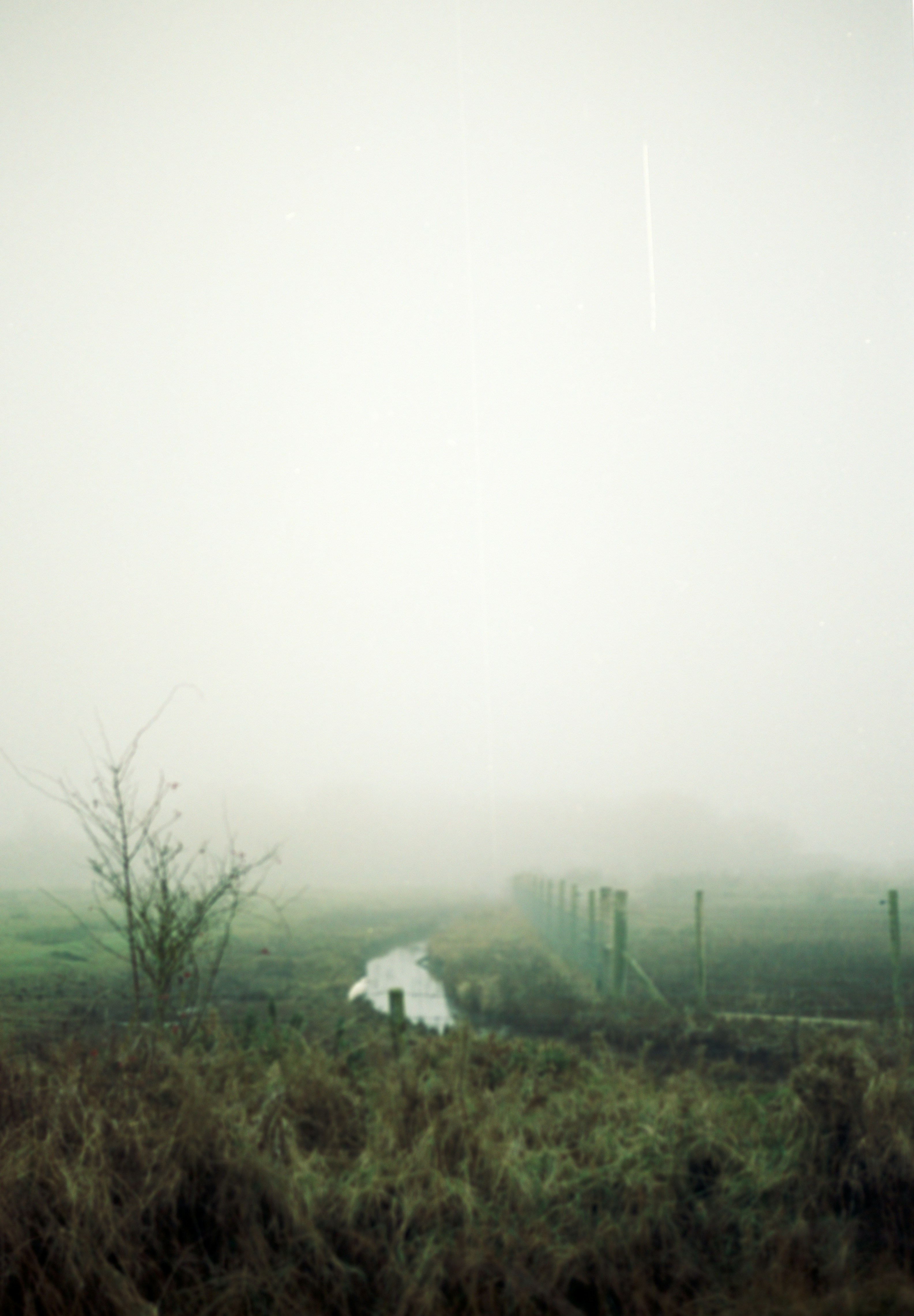 Photo by anniespratt