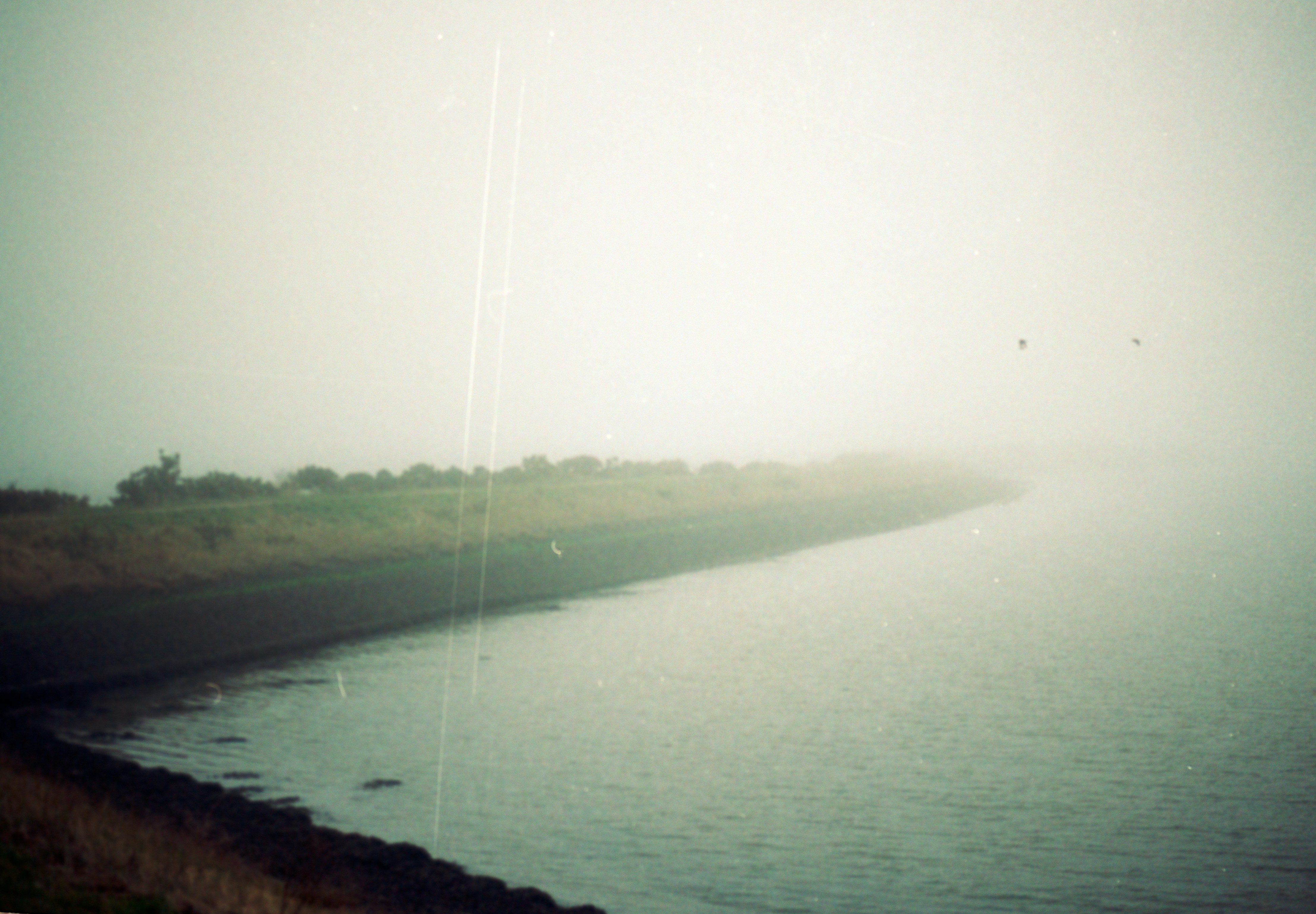 Photo by anniespratt