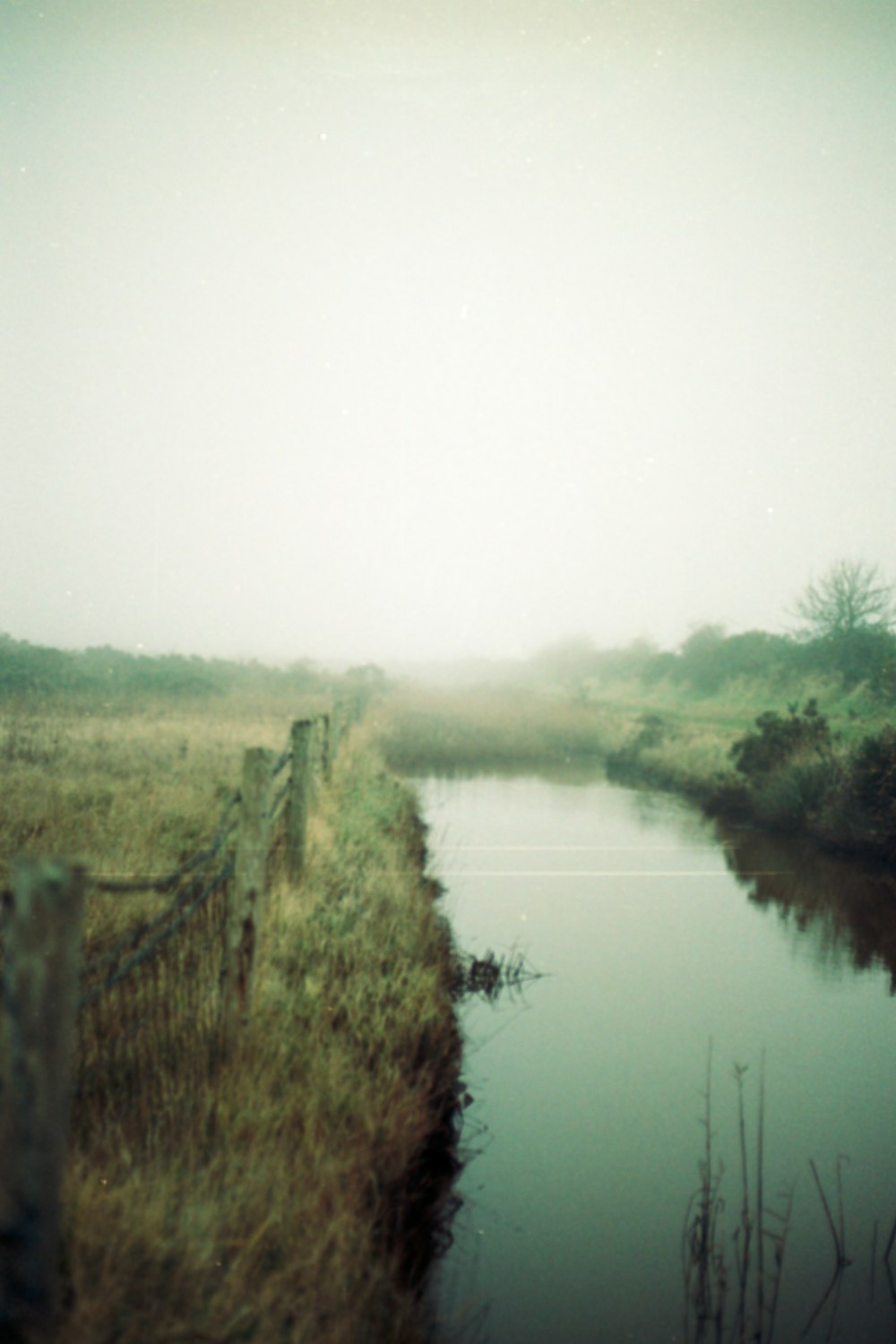 a foggy field with a fence and a body of water