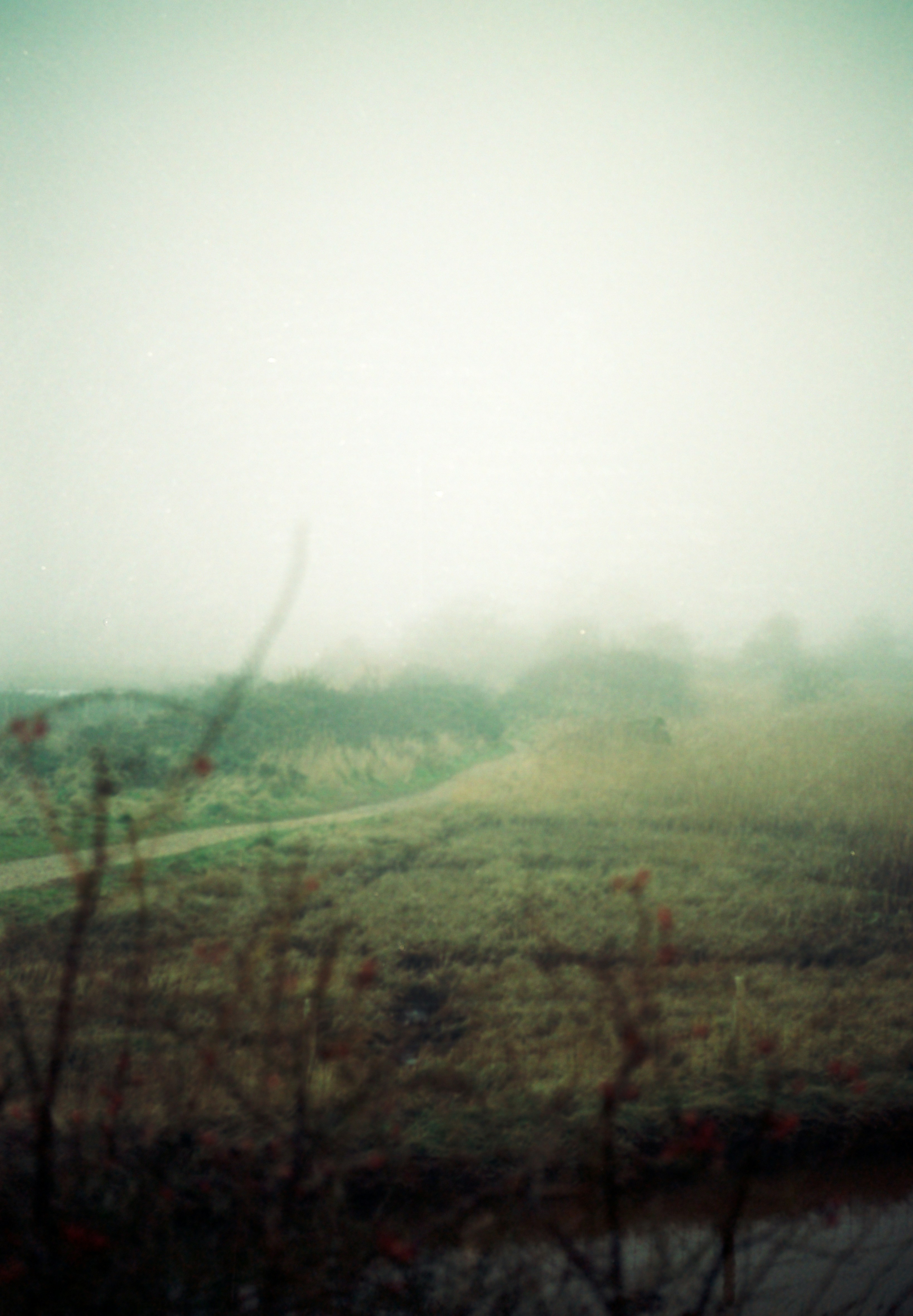 Photo by anniespratt