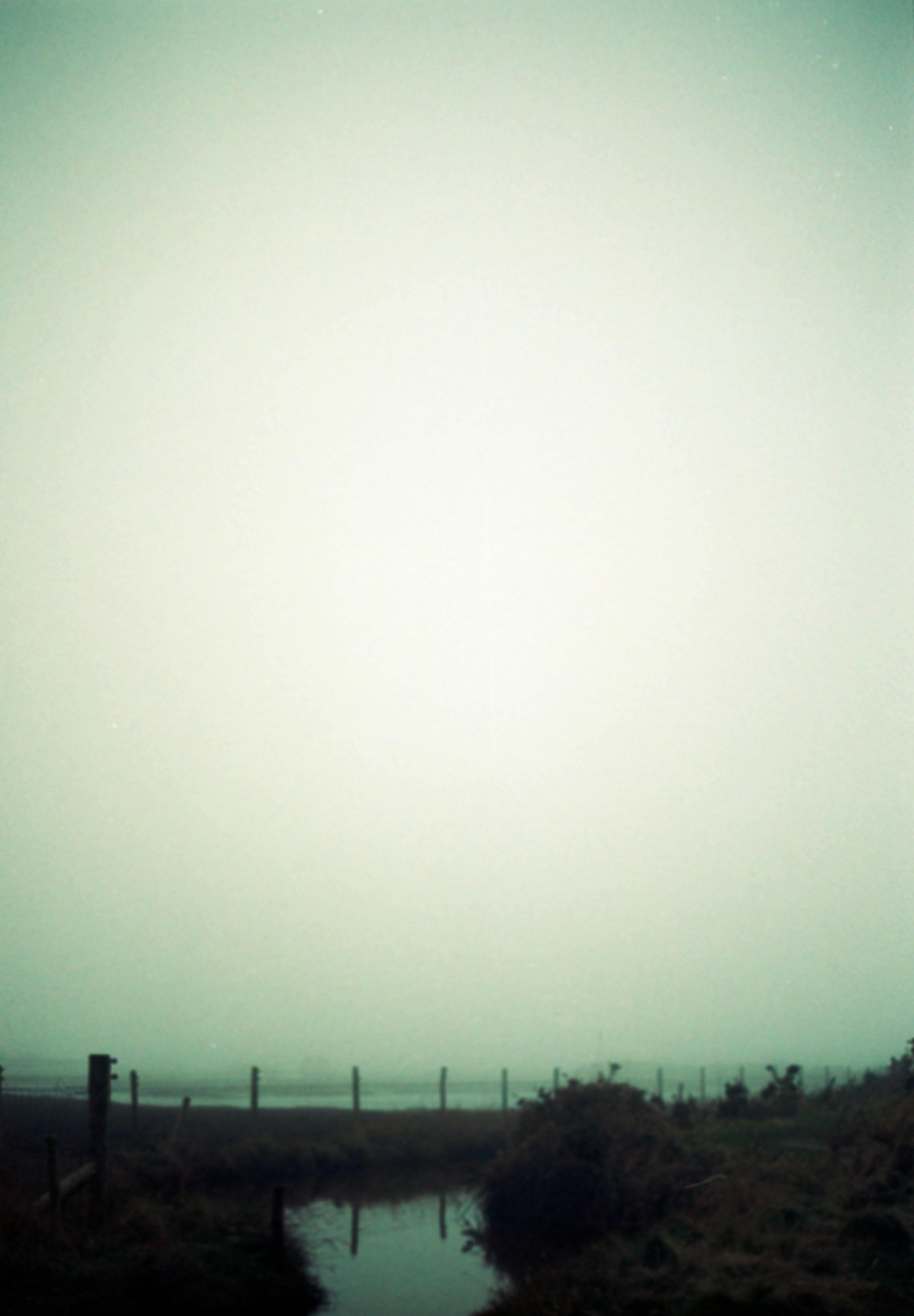 Photo by anniespratt