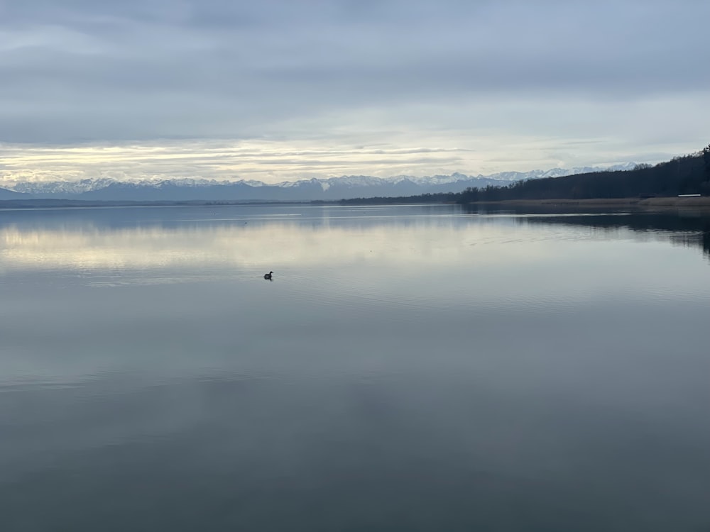 a large body of water with mountains in the background