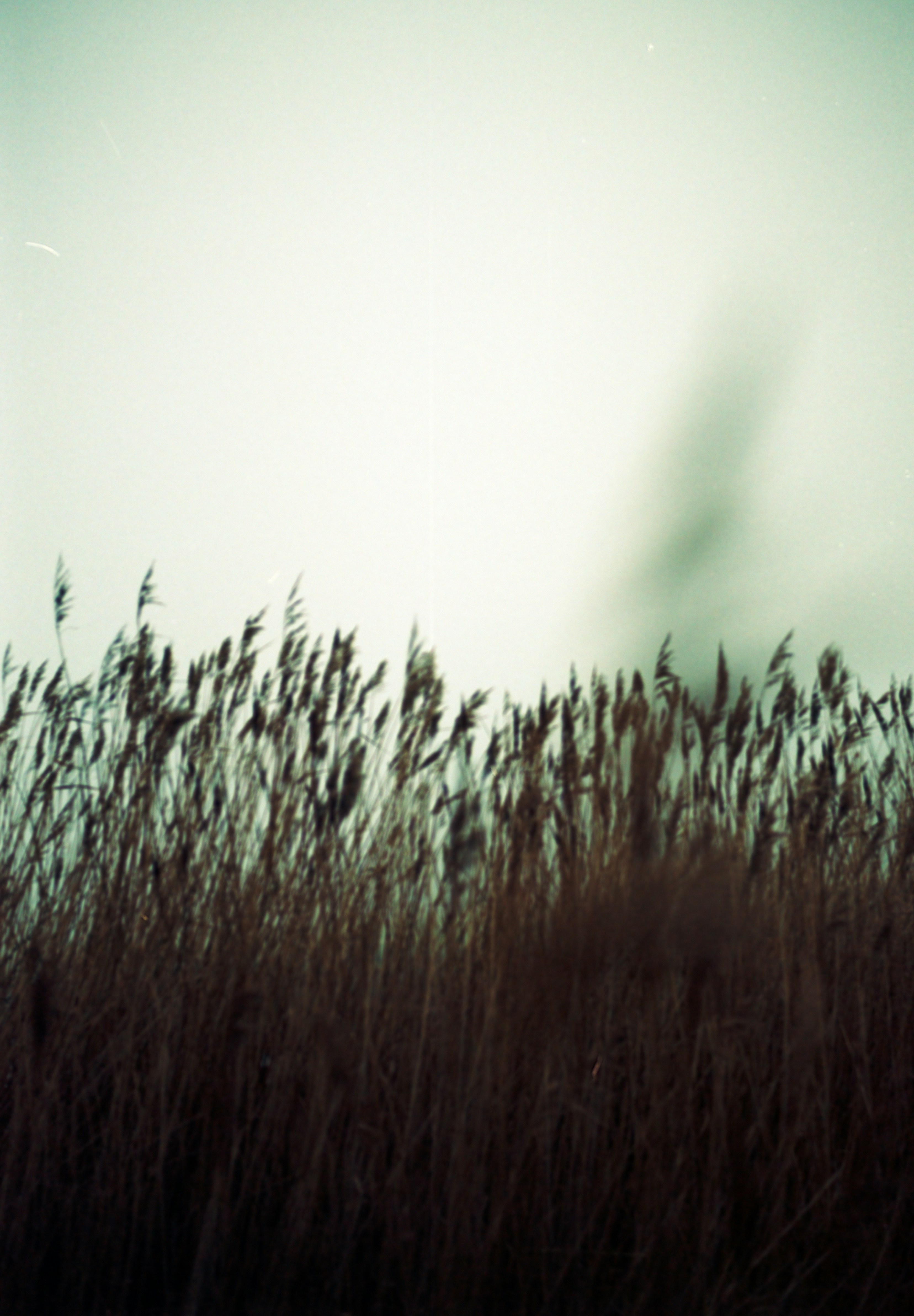 Photo by anniespratt